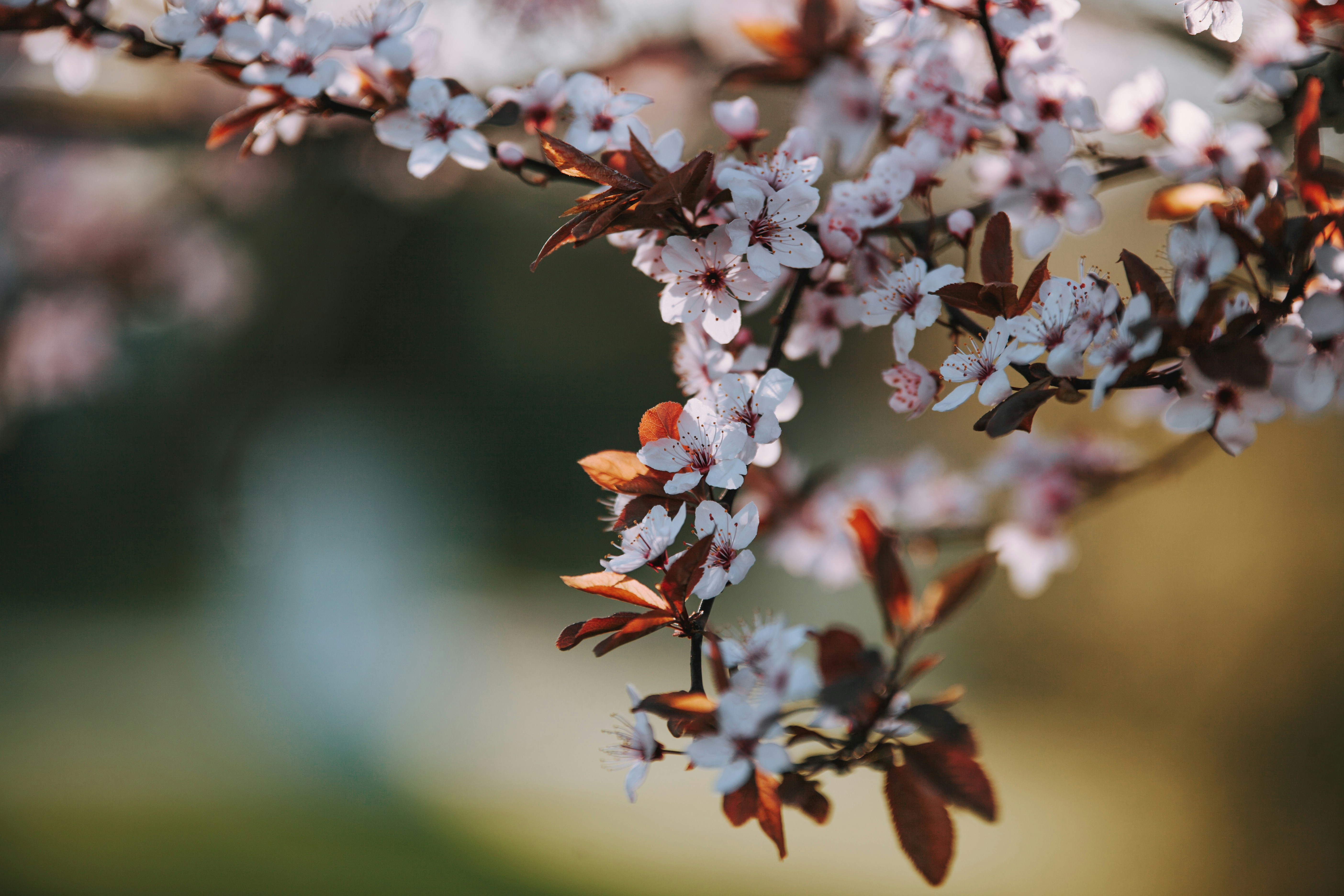 Photo by sylvester_s