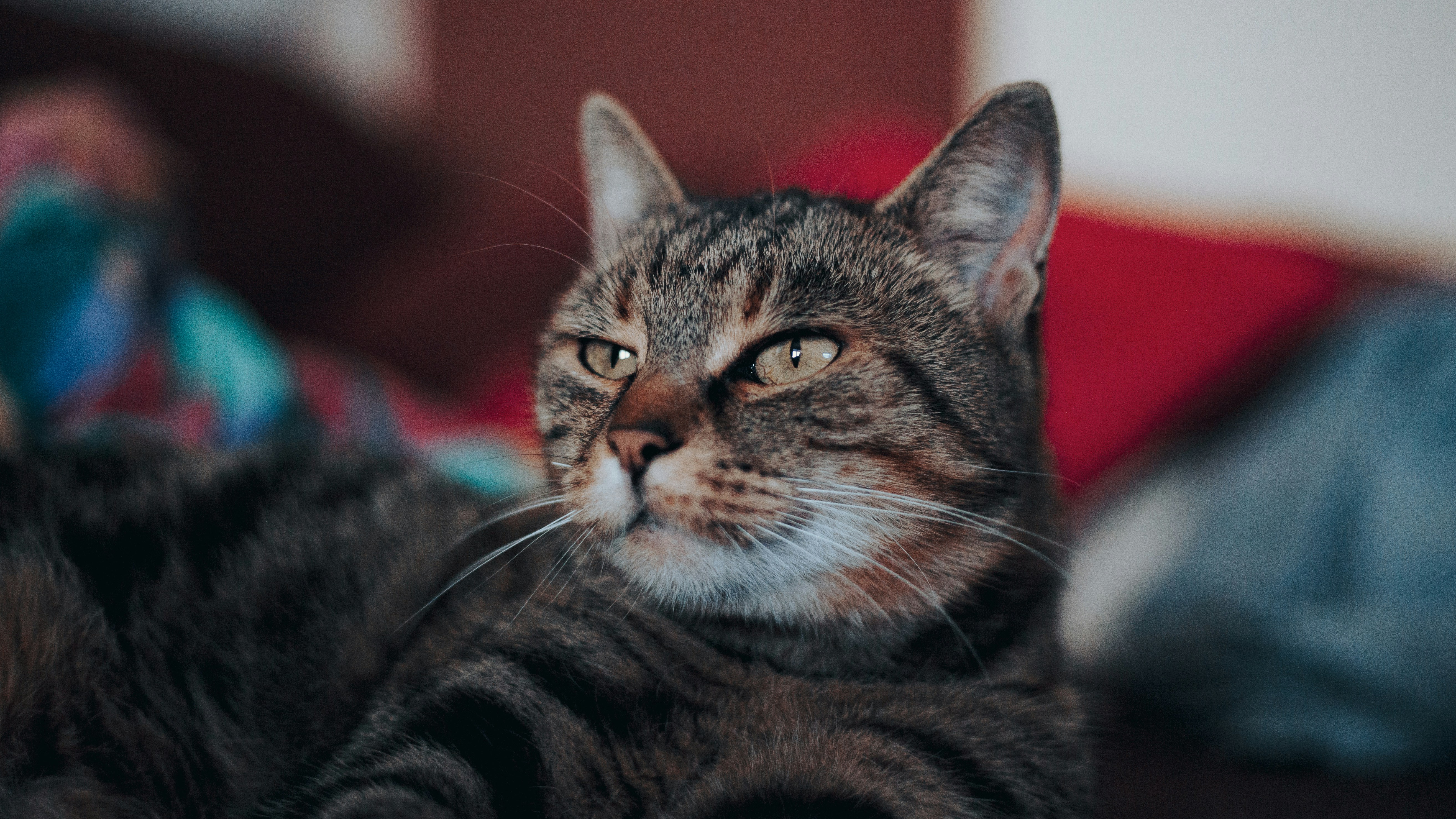 Photo by sylvester_s