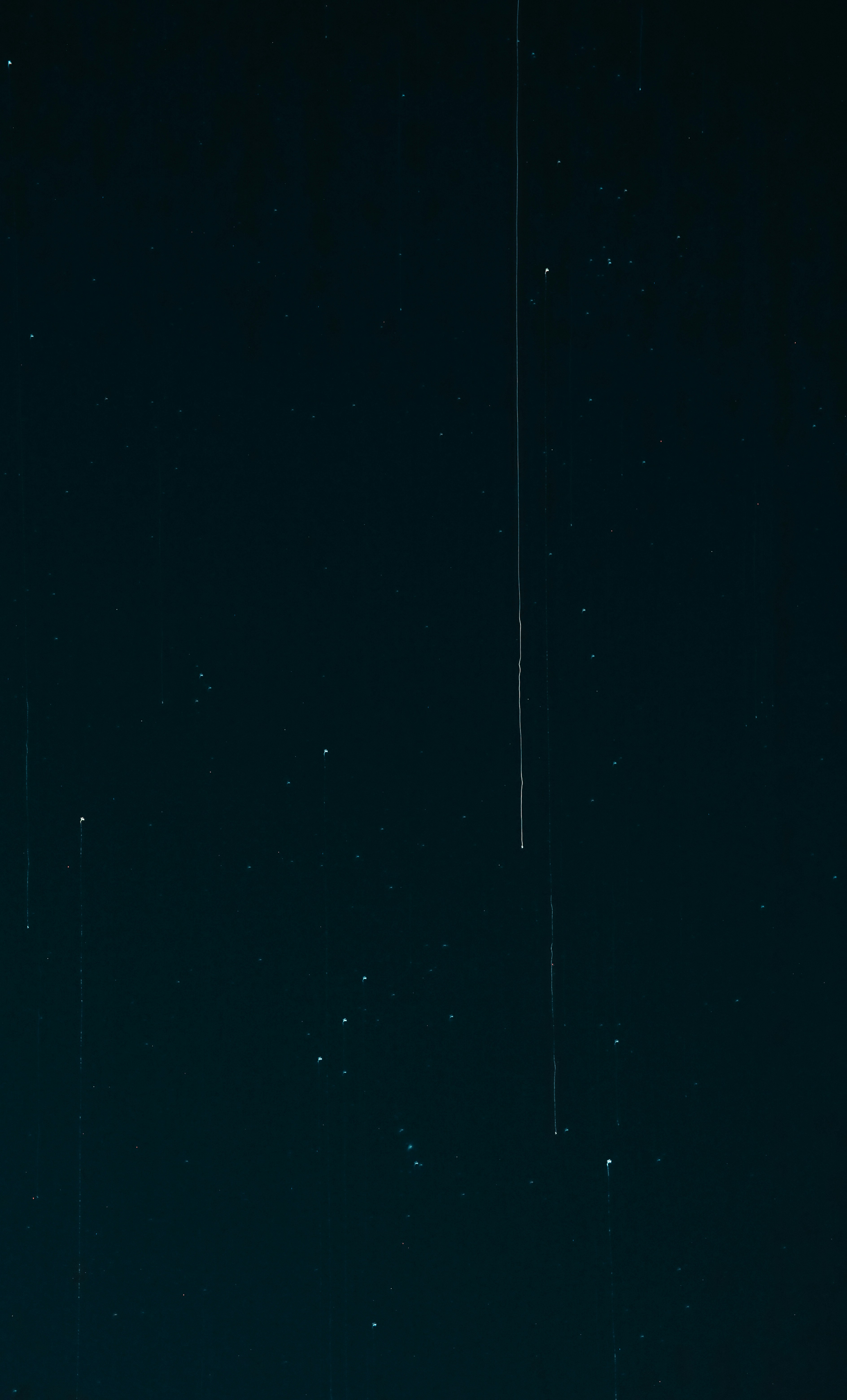 Photo by denleyjones