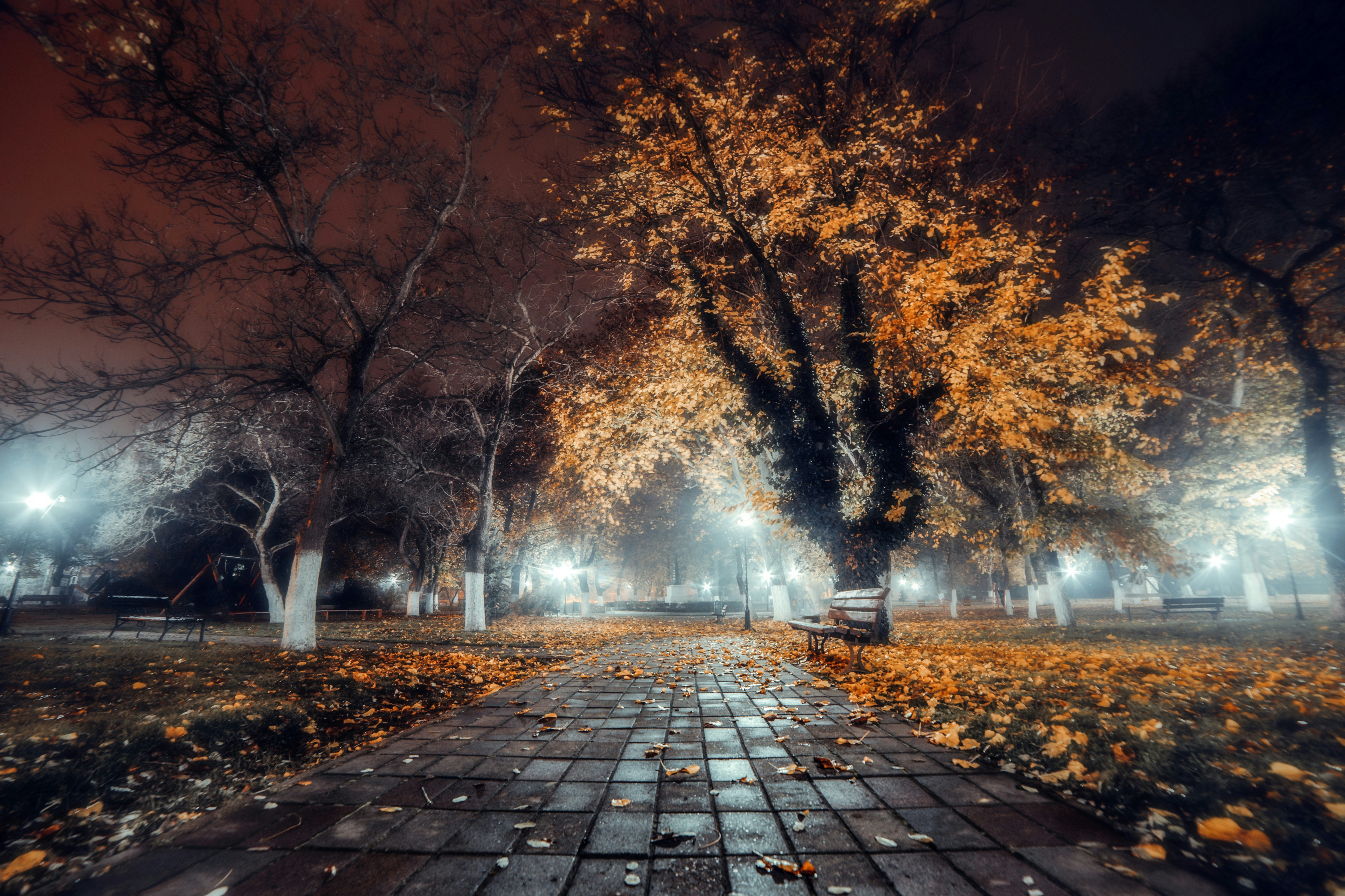 Photo by sylvester_s