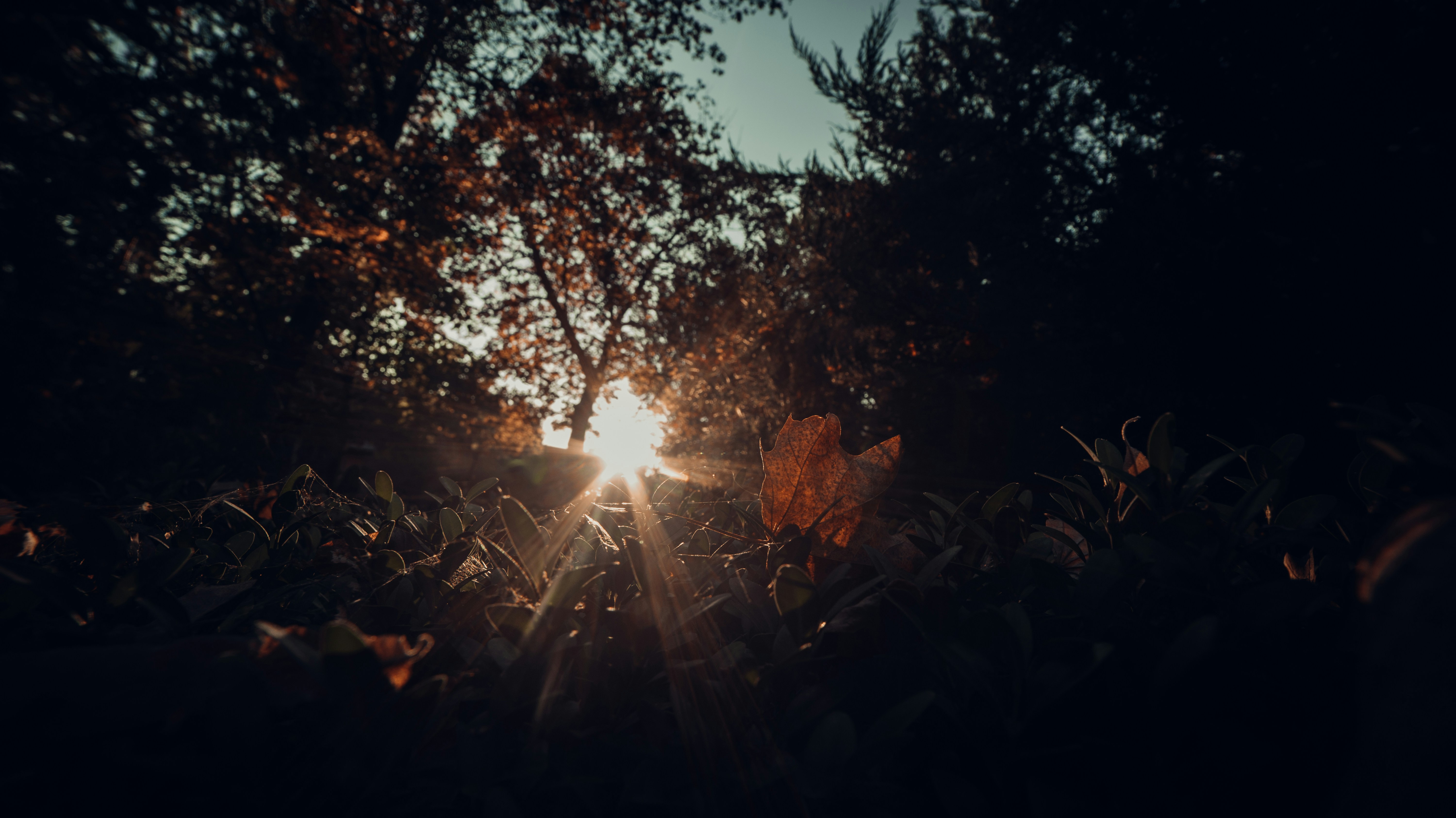 Photo by sylvester_s