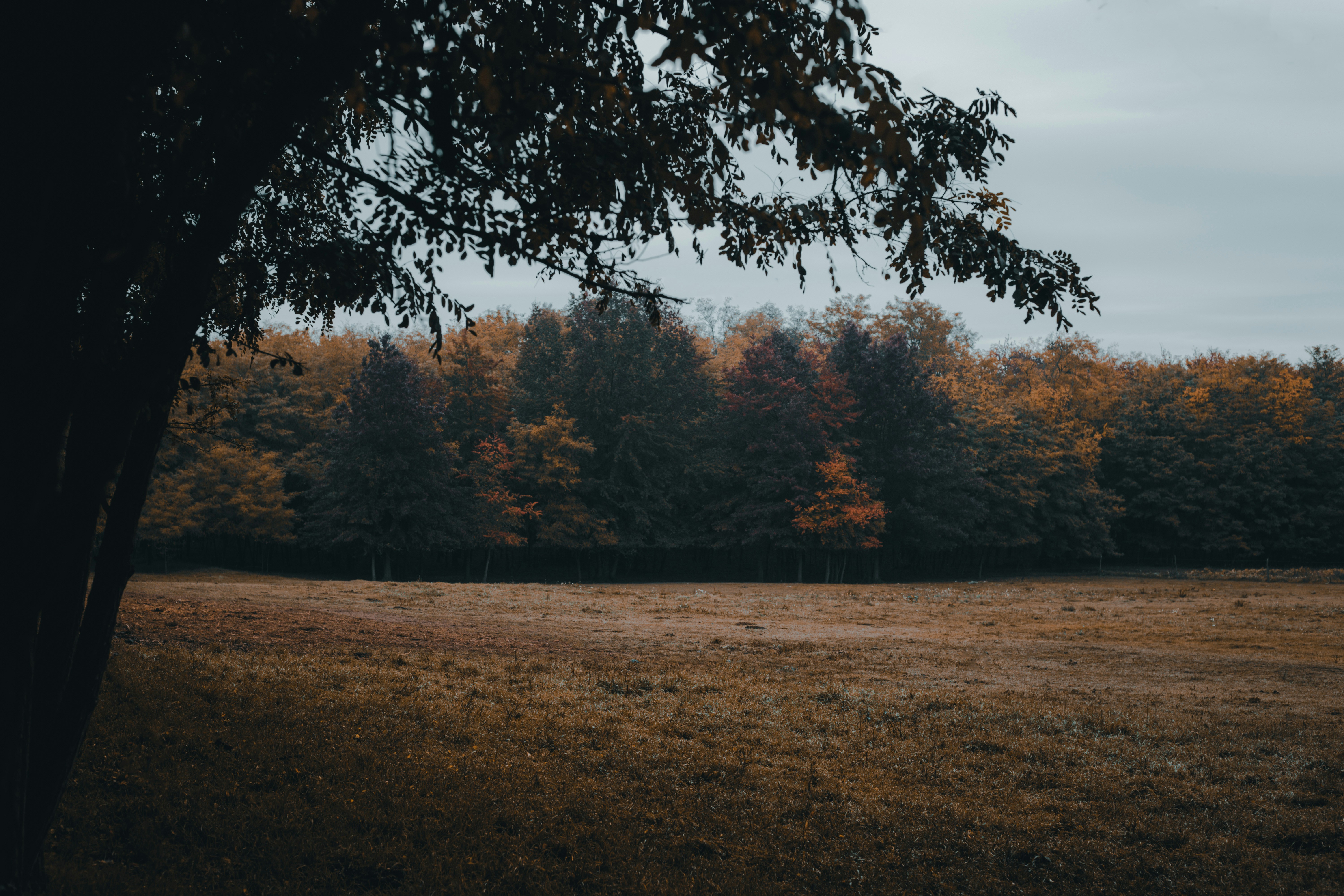 Photo by sylvester_s