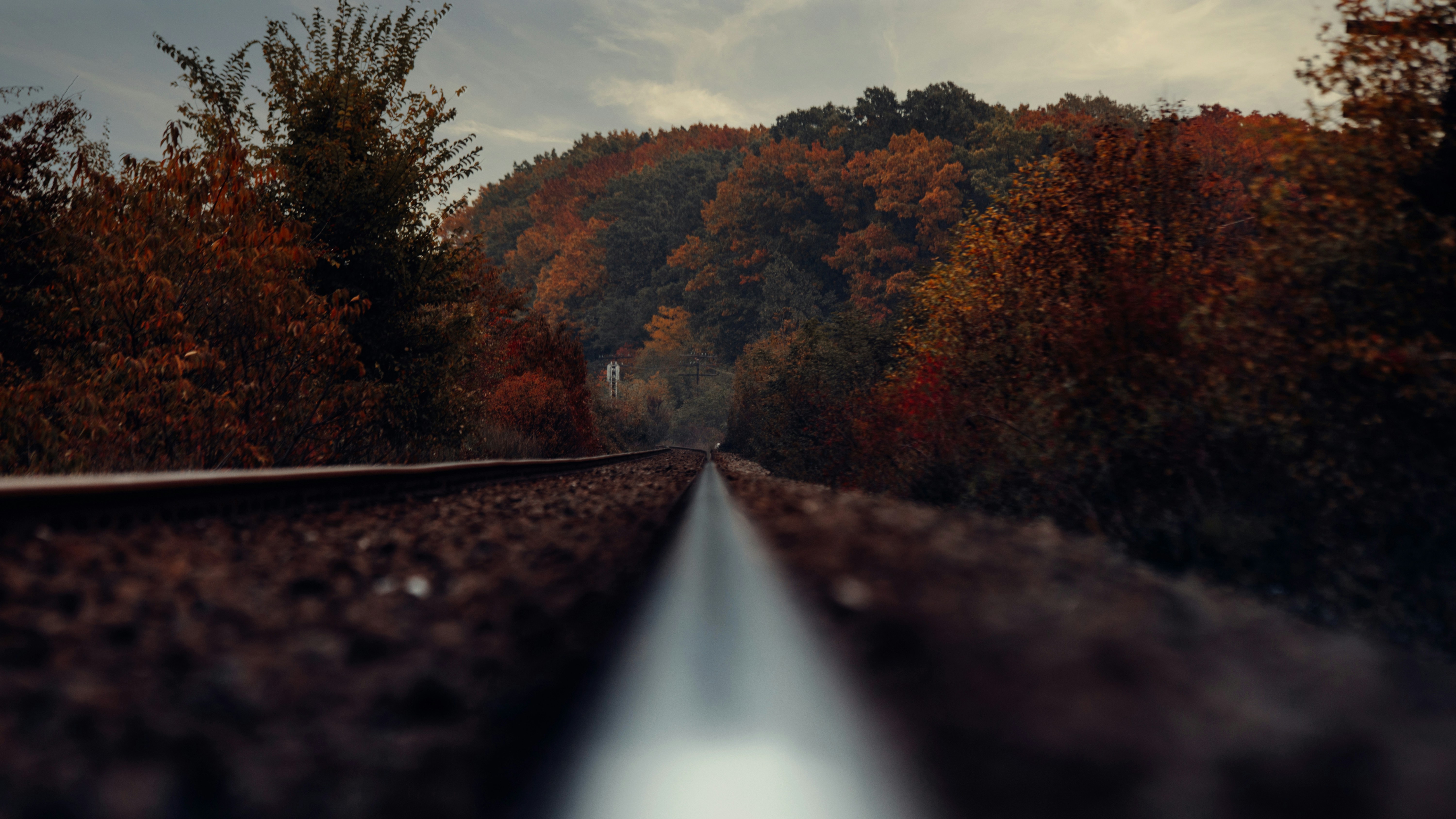 Photo by sylvester_s