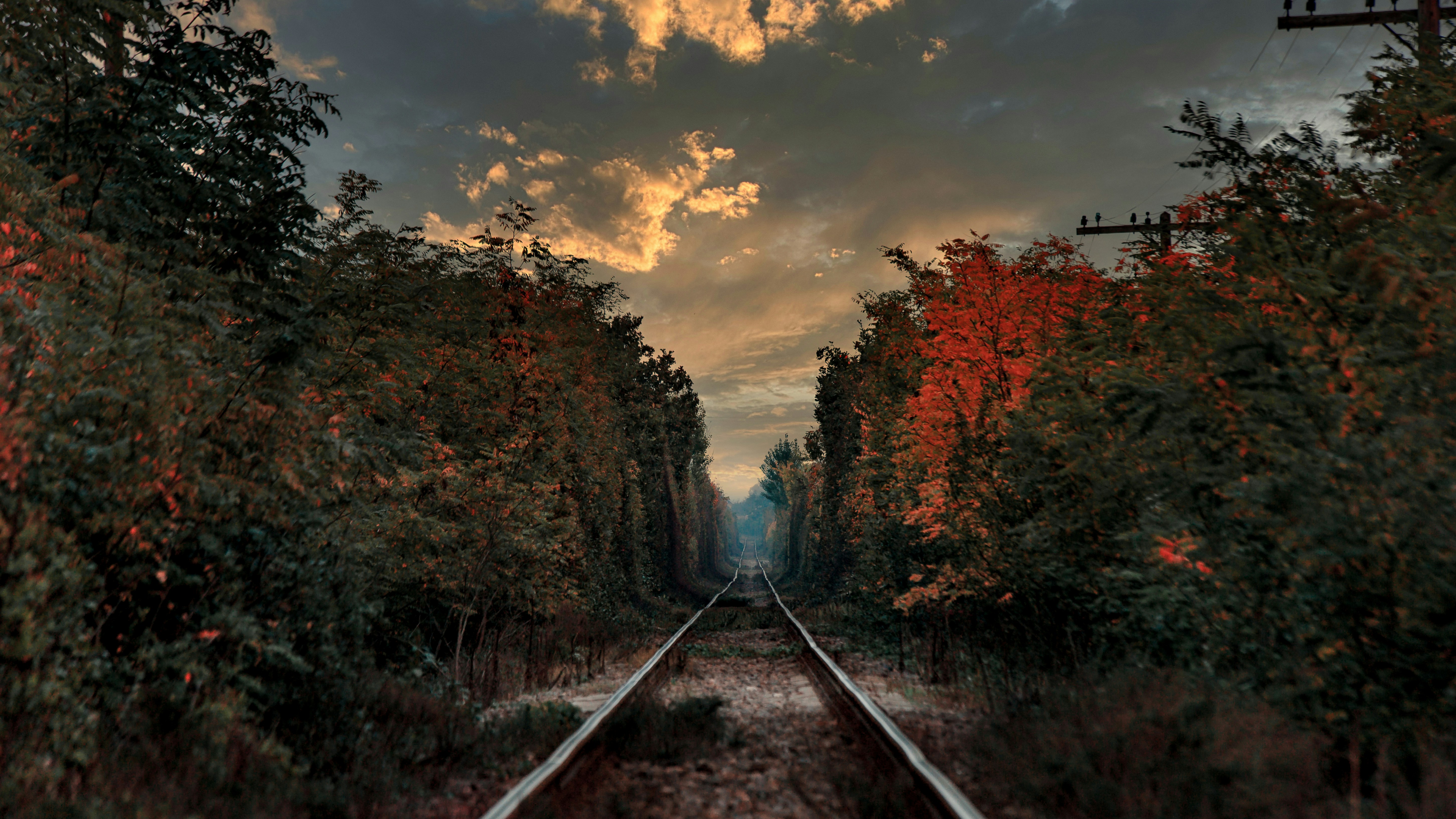 Photo by sylvester_s