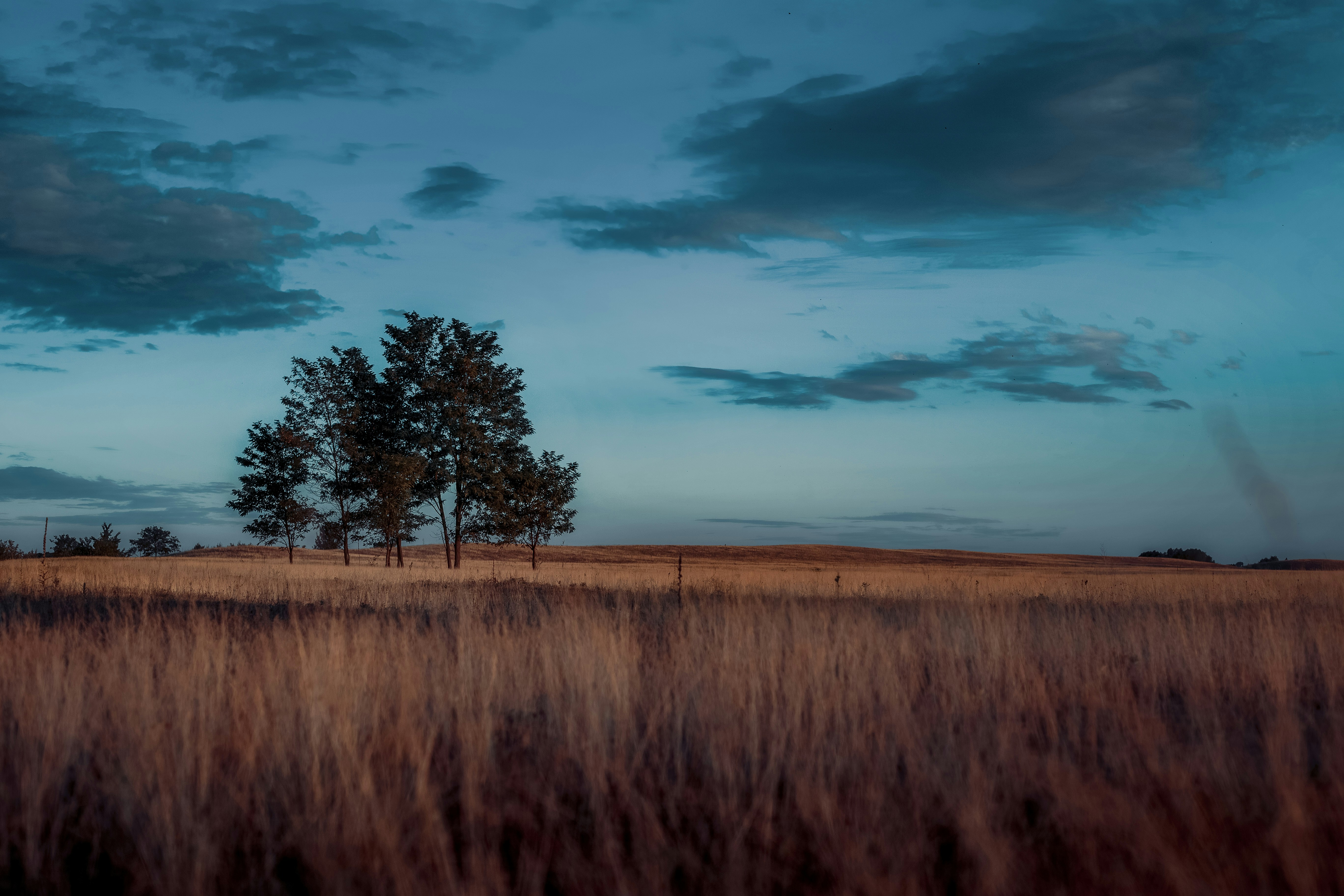 Photo by sylvester_s