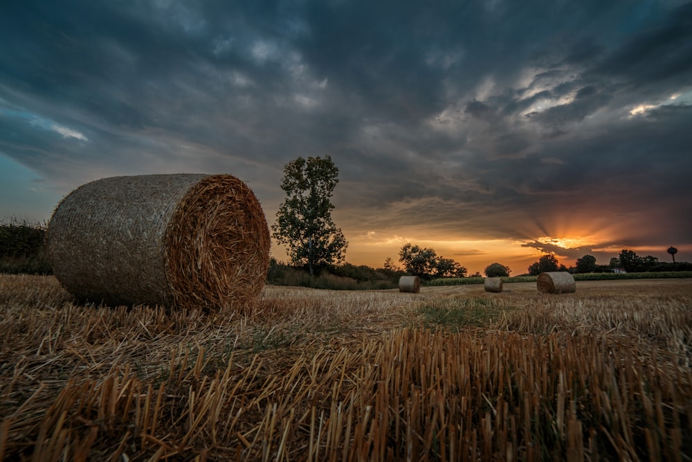 hay bales in a field with a sunset in the background