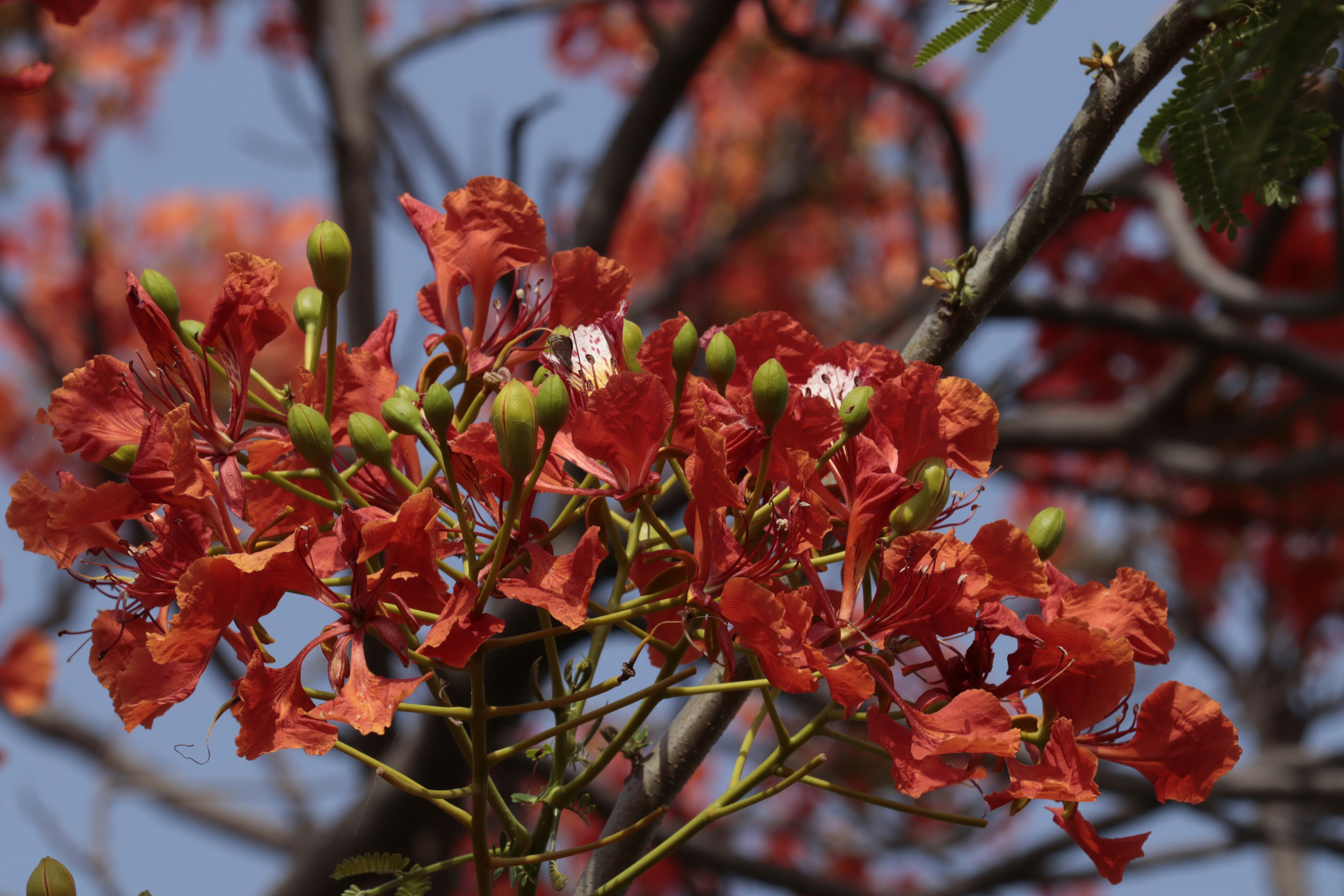 Photo by anyzoystudio