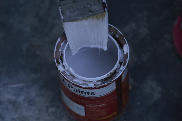 Paint Brush & Roller Set