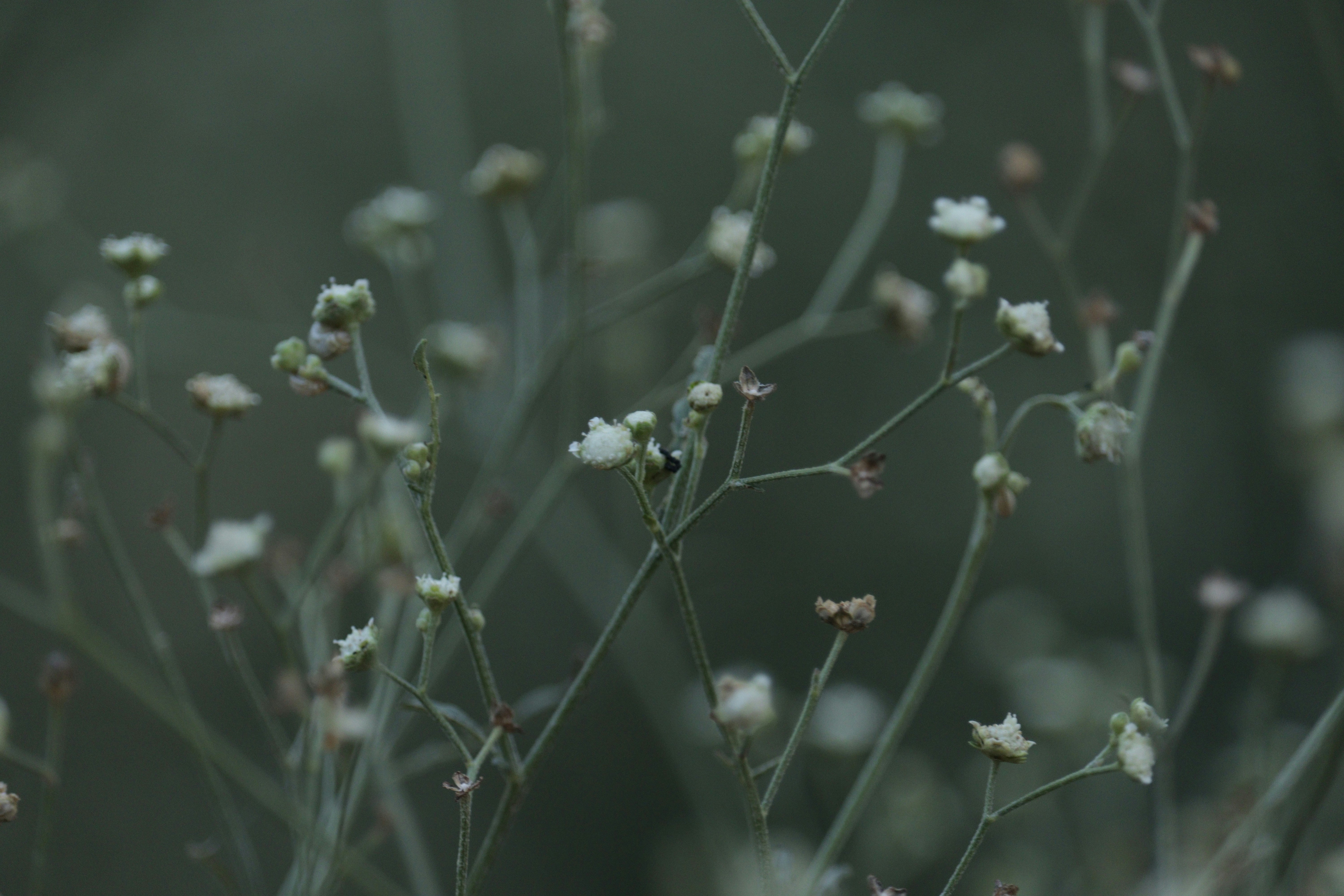 Photo by anyzoystudio