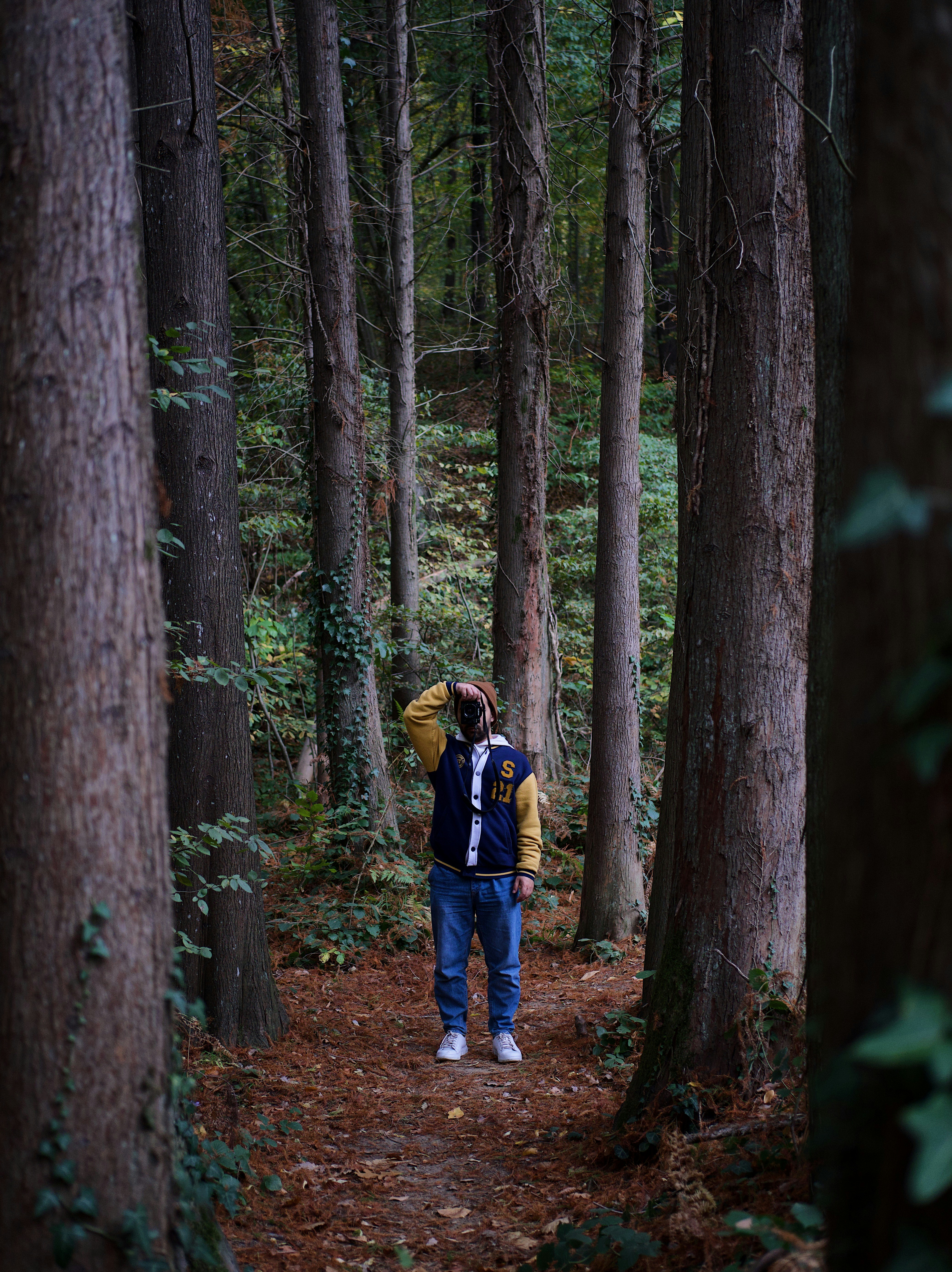 Photo by iamhogir