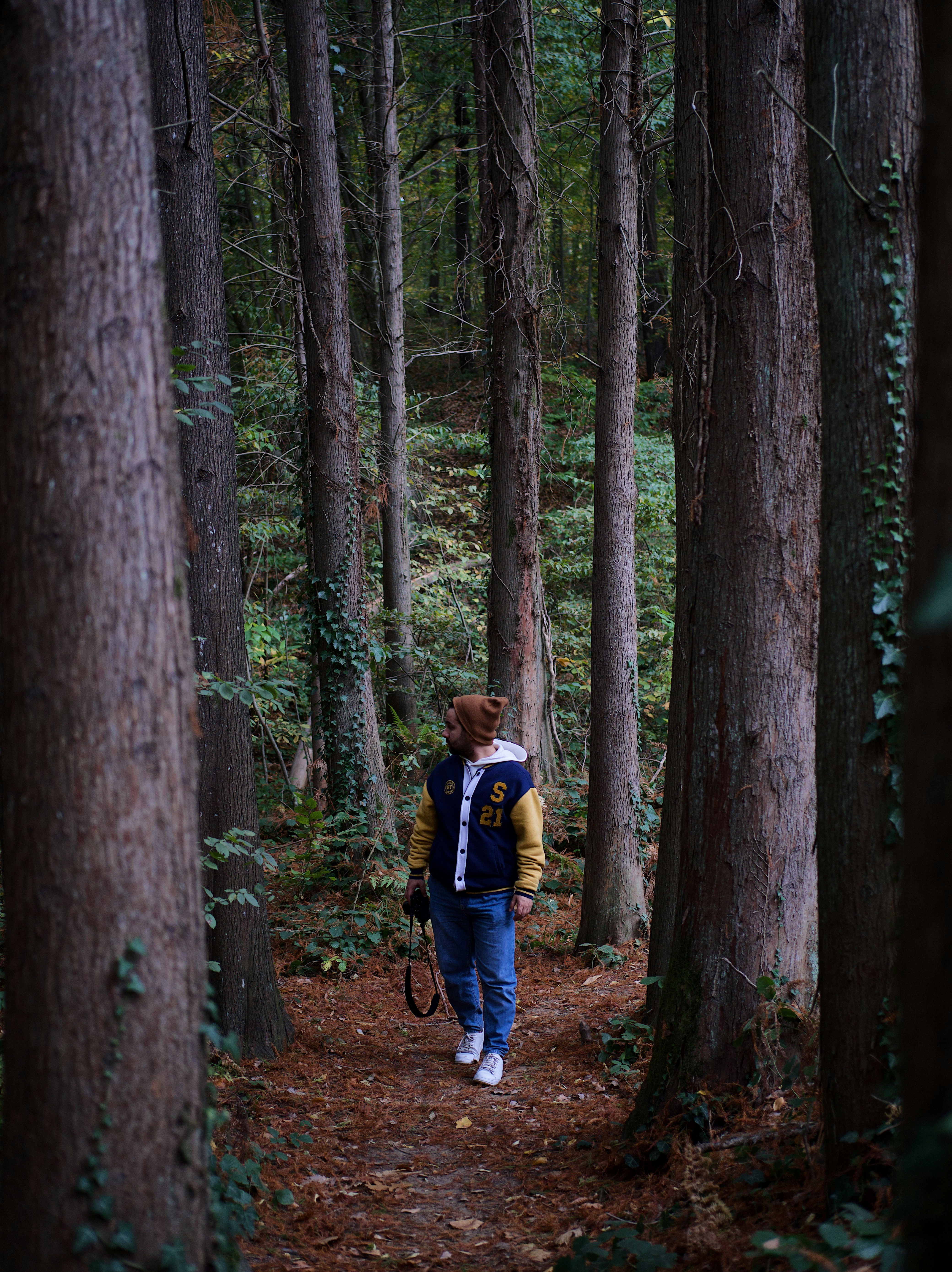 Photo by iamhogir