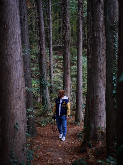 a person walking in the woods with a dog