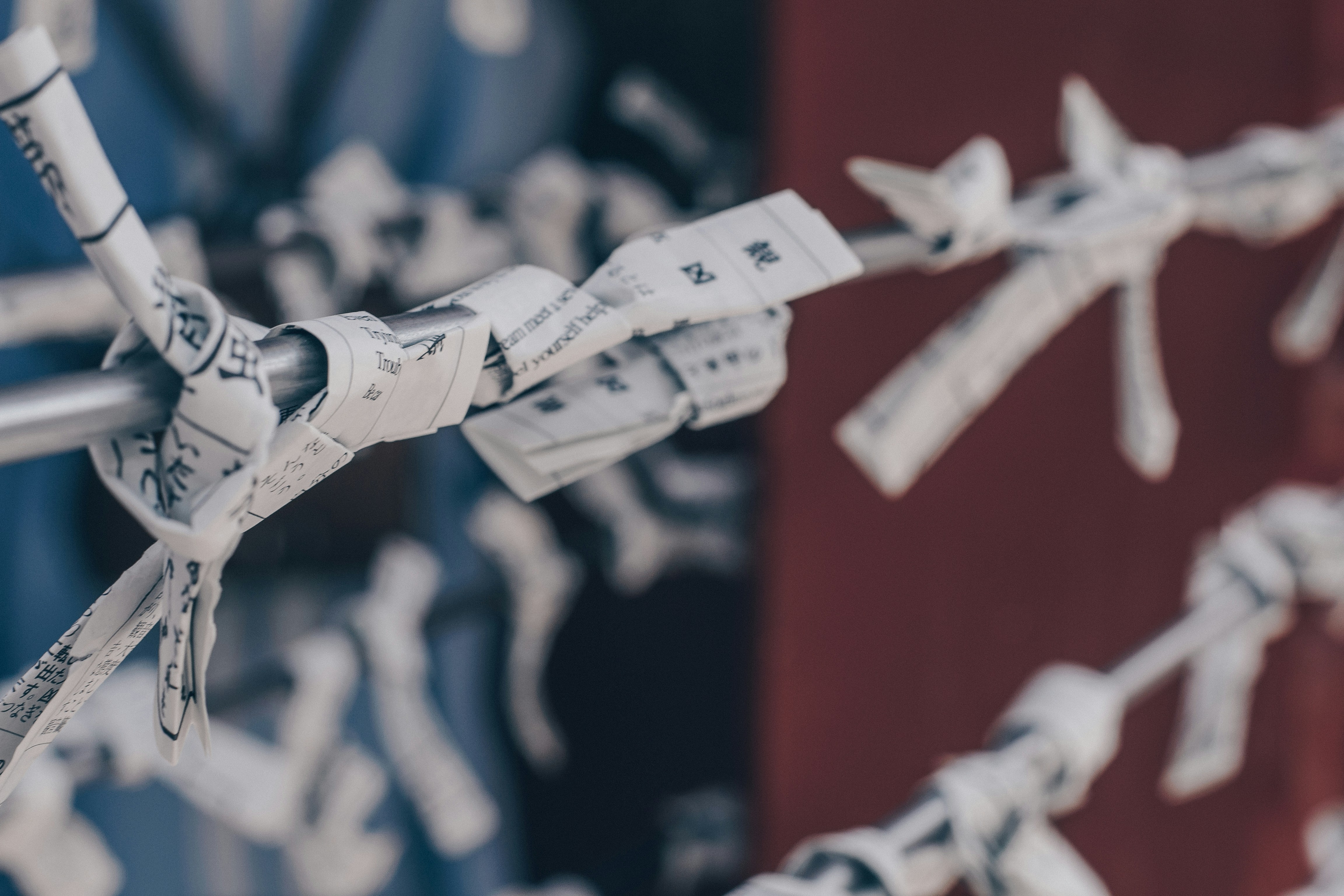 Photo by filizelaerts