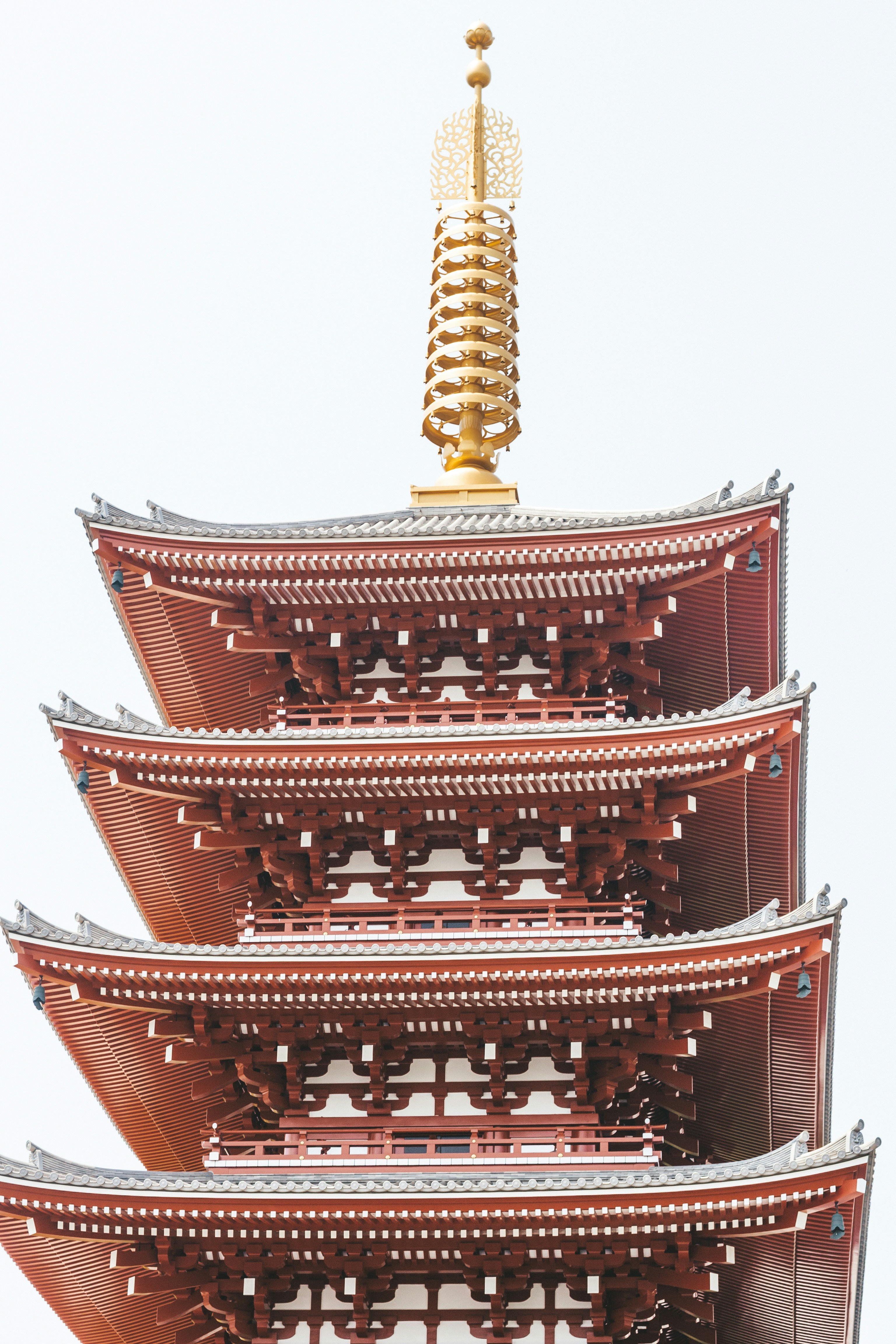 Photo by filizelaerts