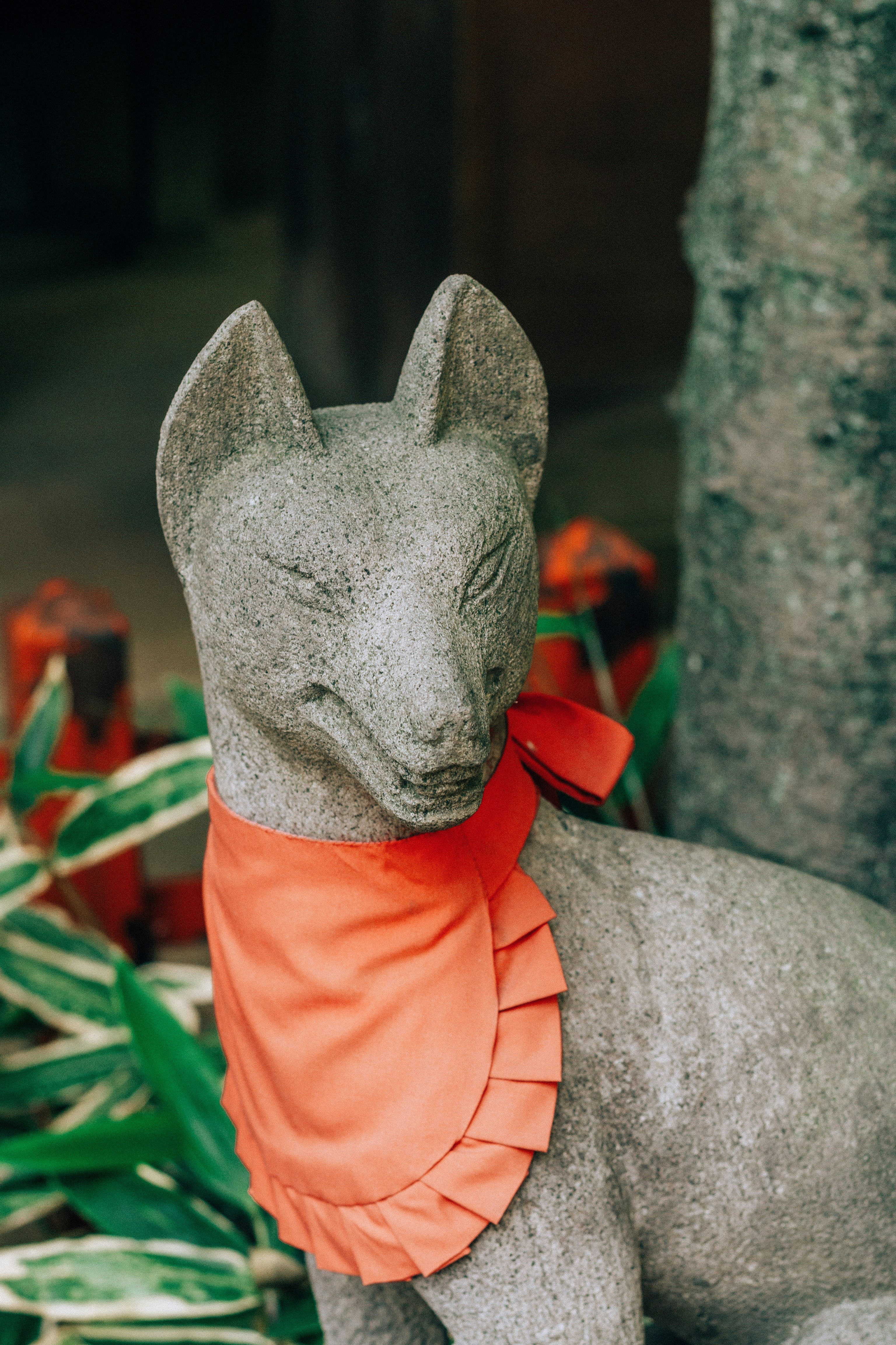 Photo by filizelaerts