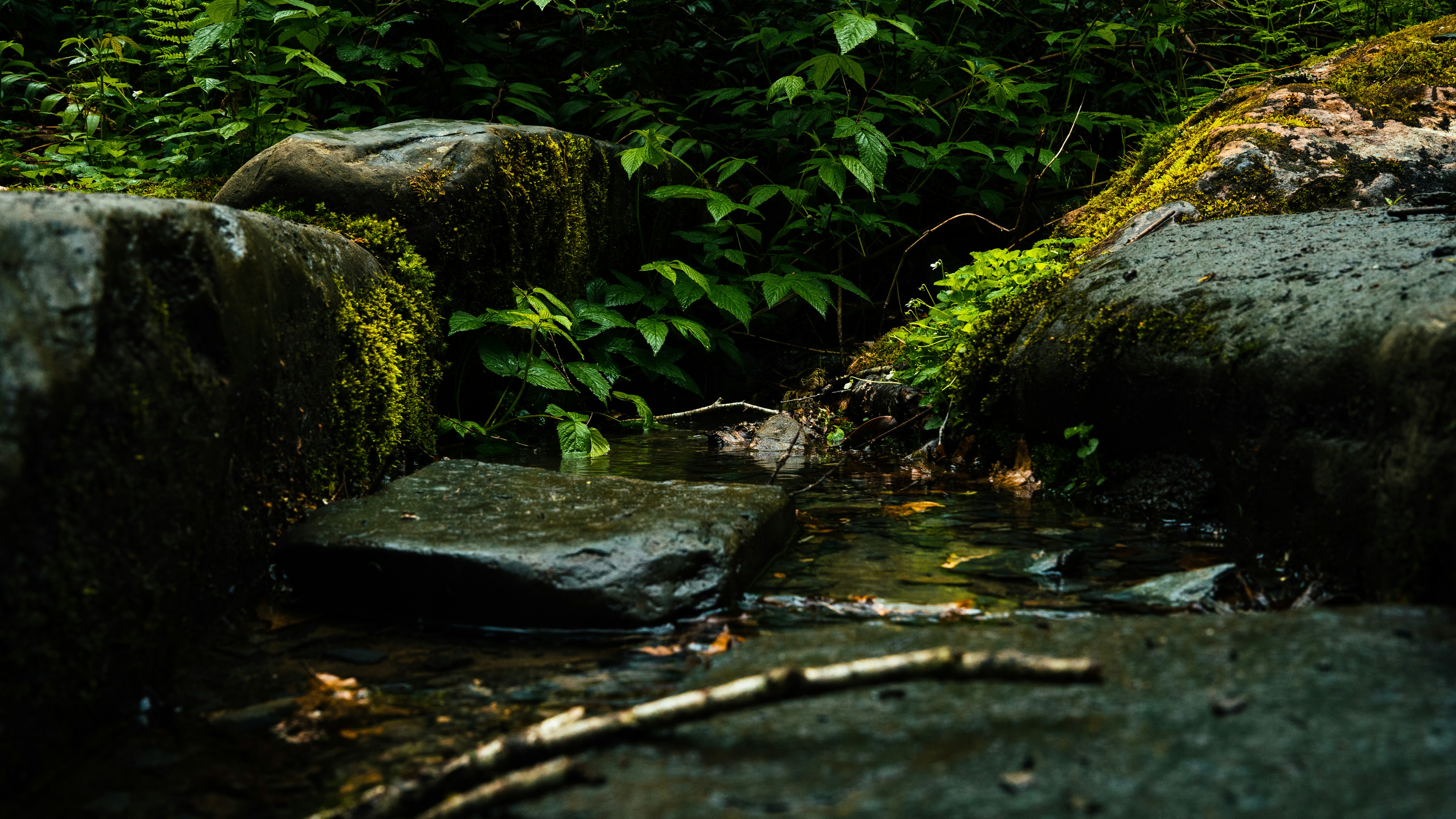 Photo by calebflores_photo