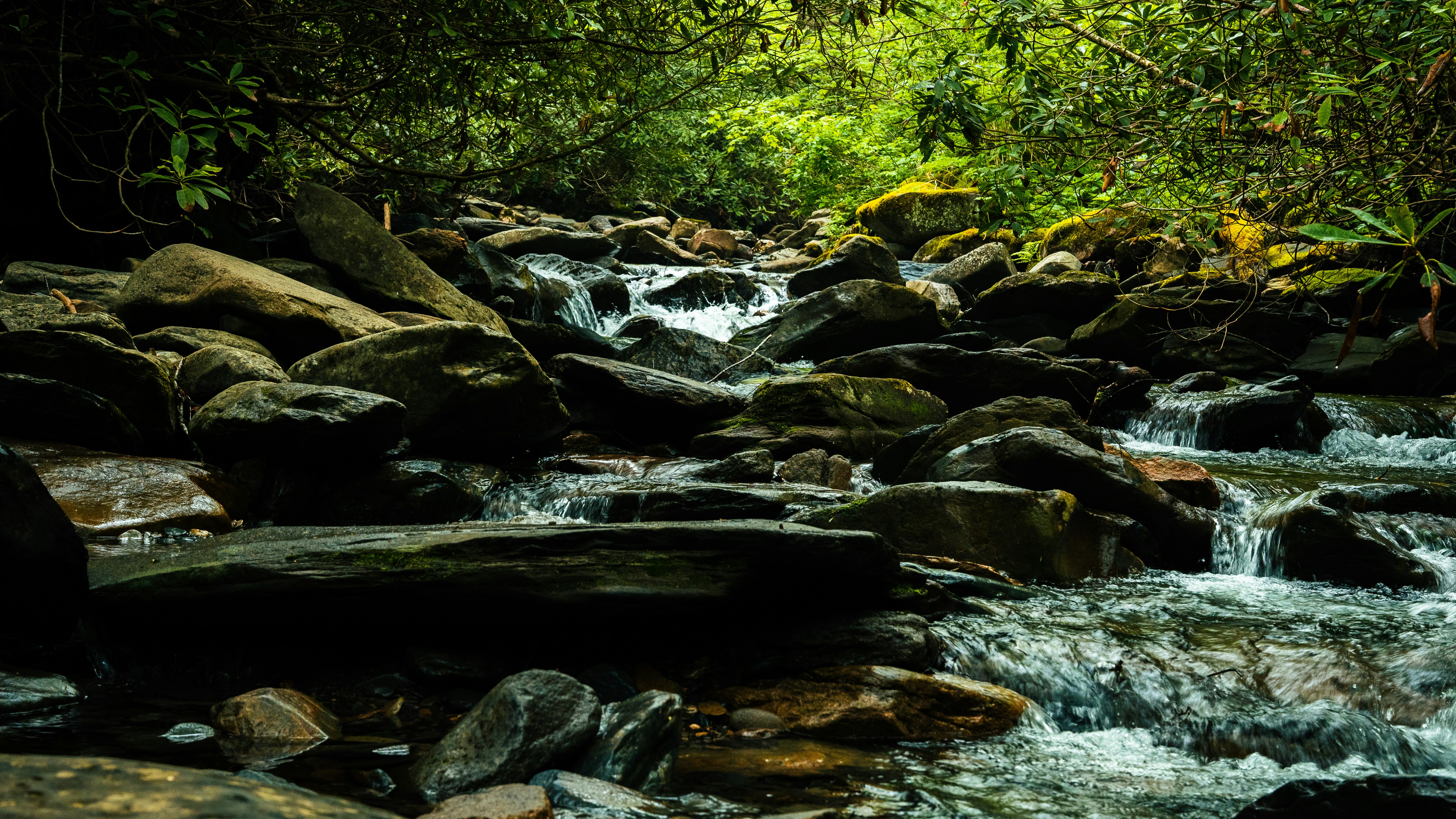 Photo by calebflores_photo