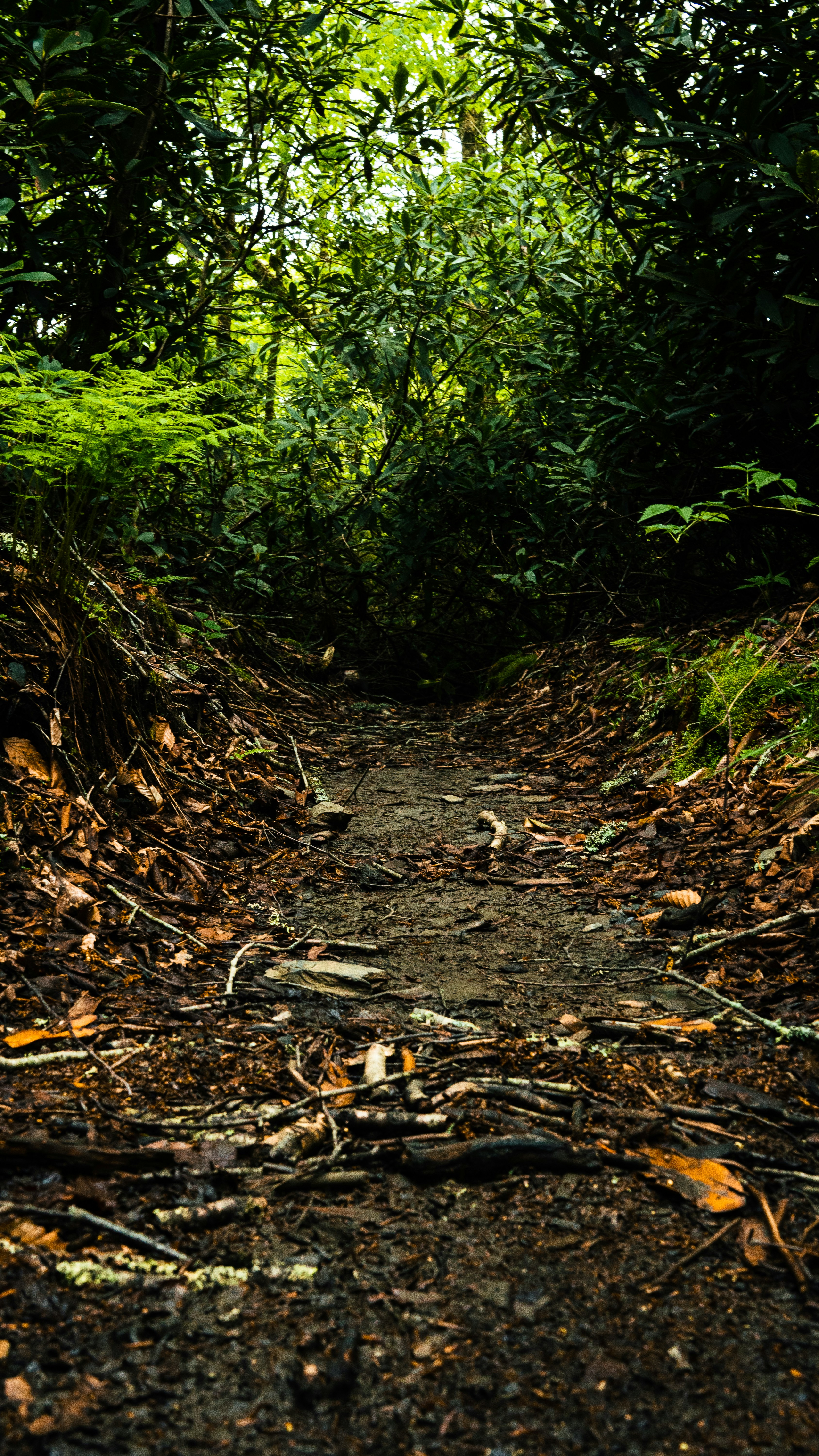 Photo by calebflores_photo