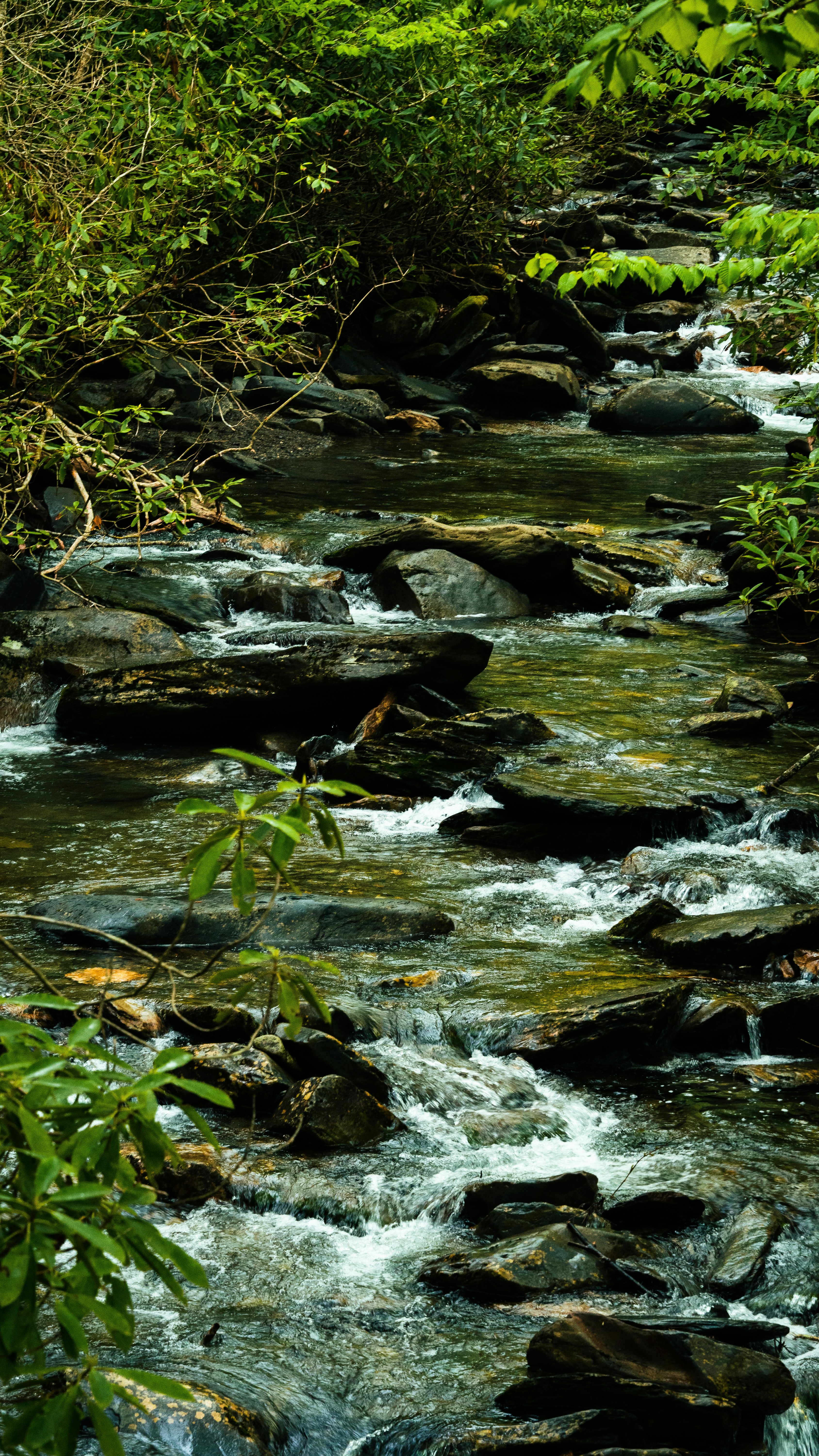 Photo by calebflores_photo