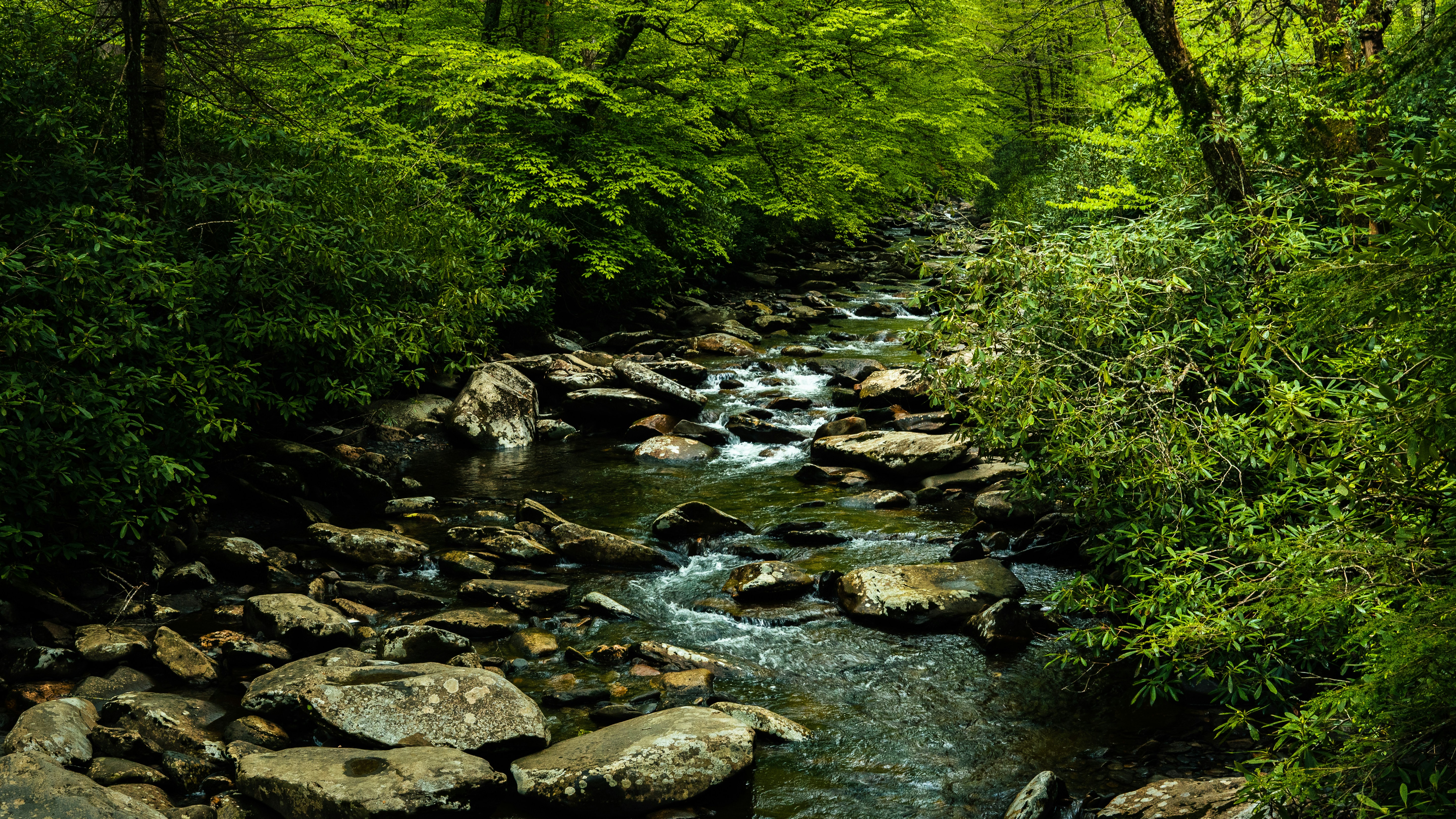 Photo by calebflores_photo