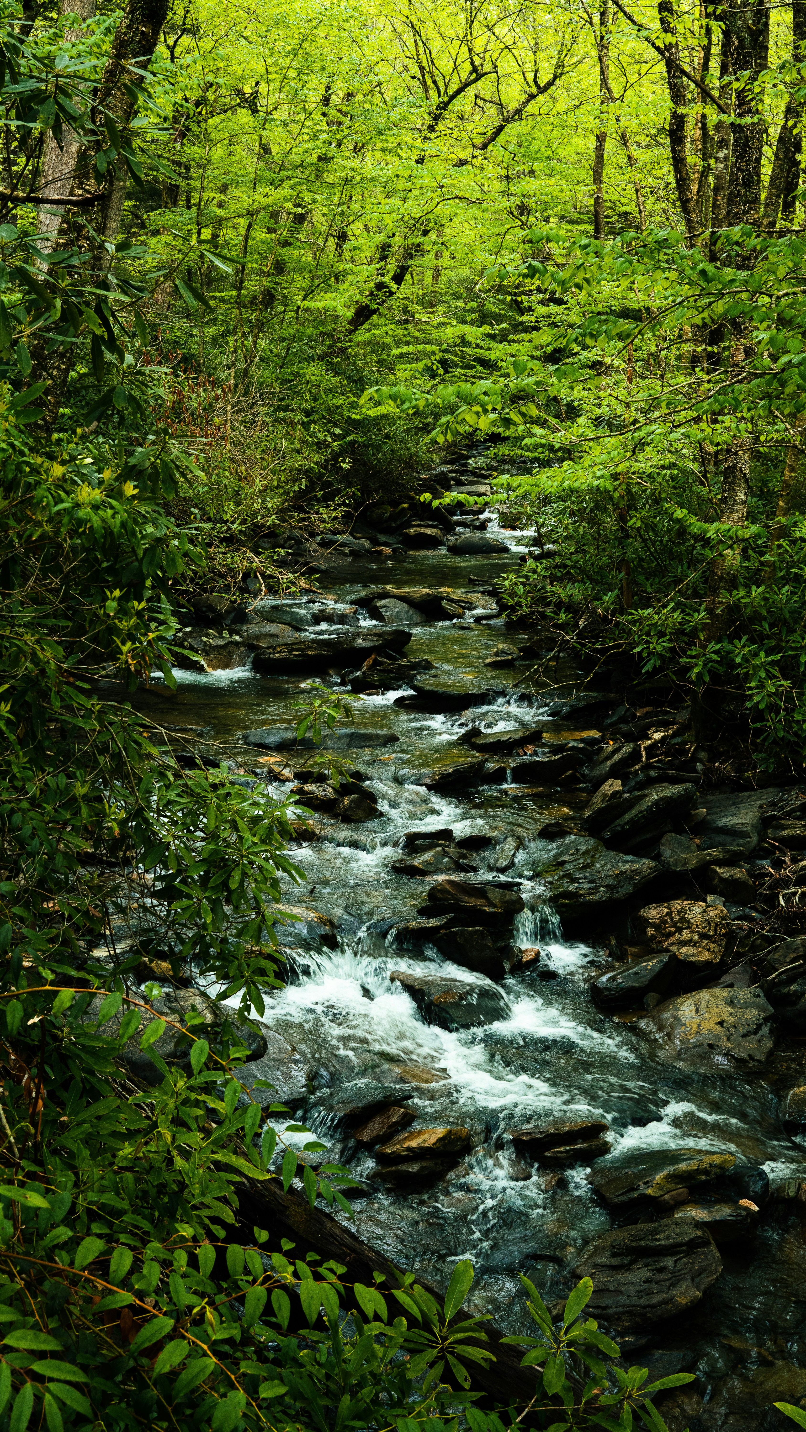 Photo by calebflores_photo