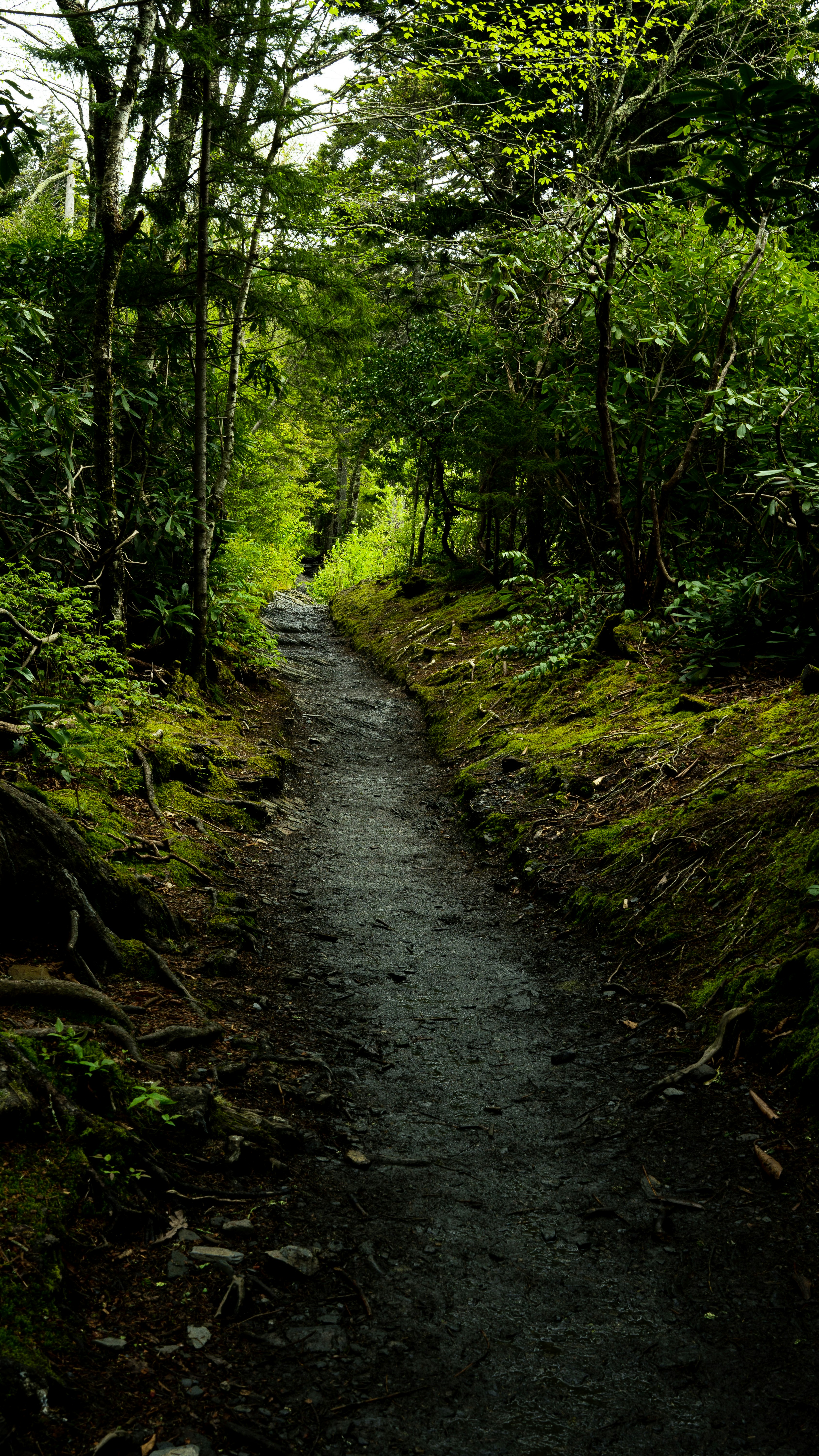 Photo by calebflores_photo