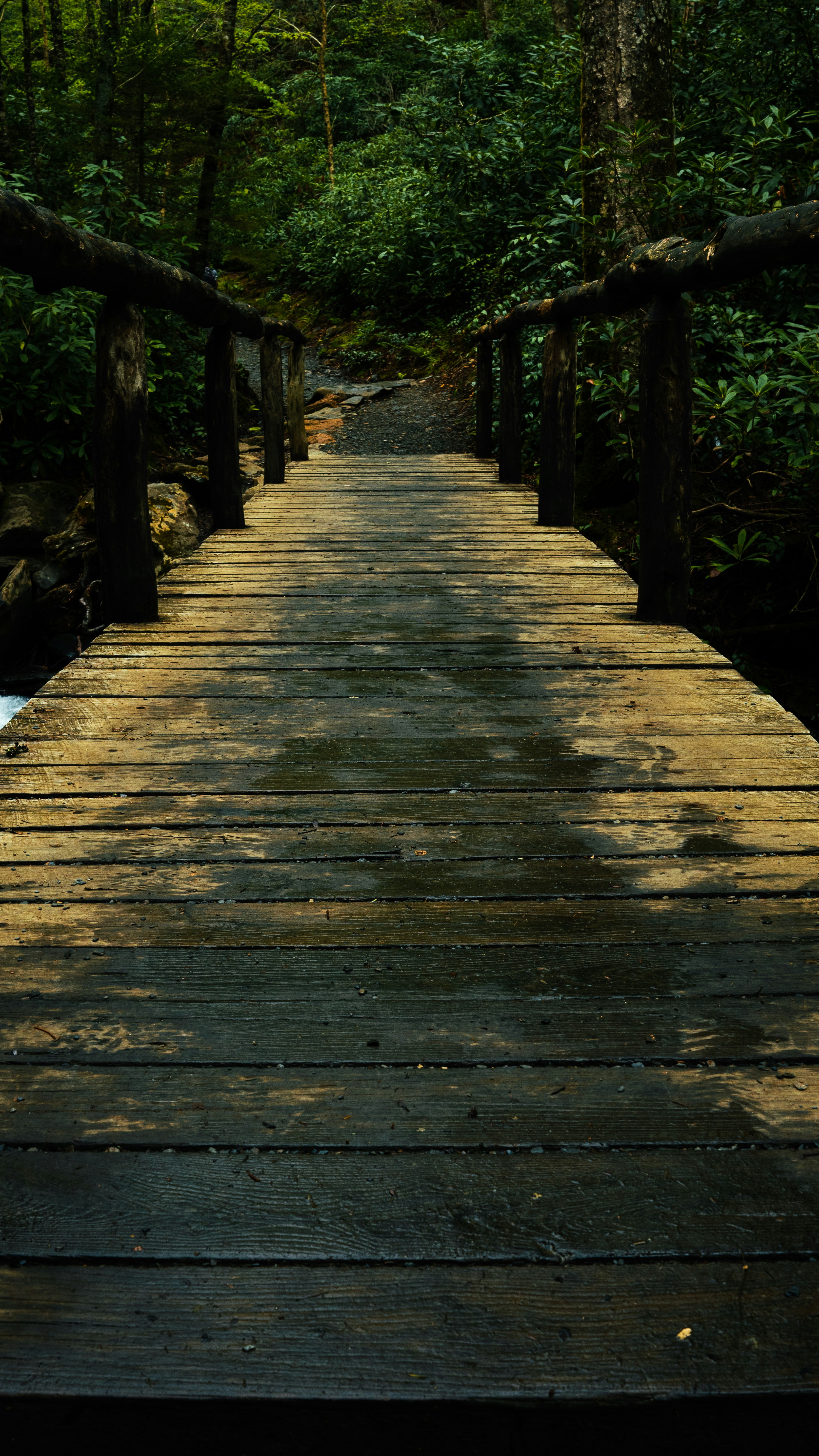 Photo by calebflores_photo