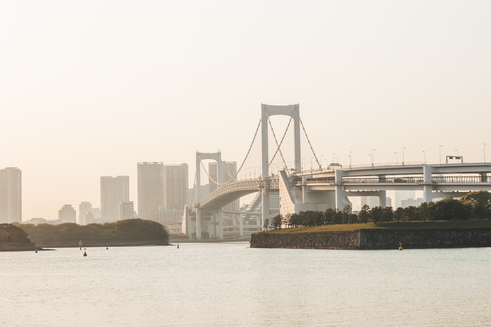 a bridge over a body of water with a city in the background