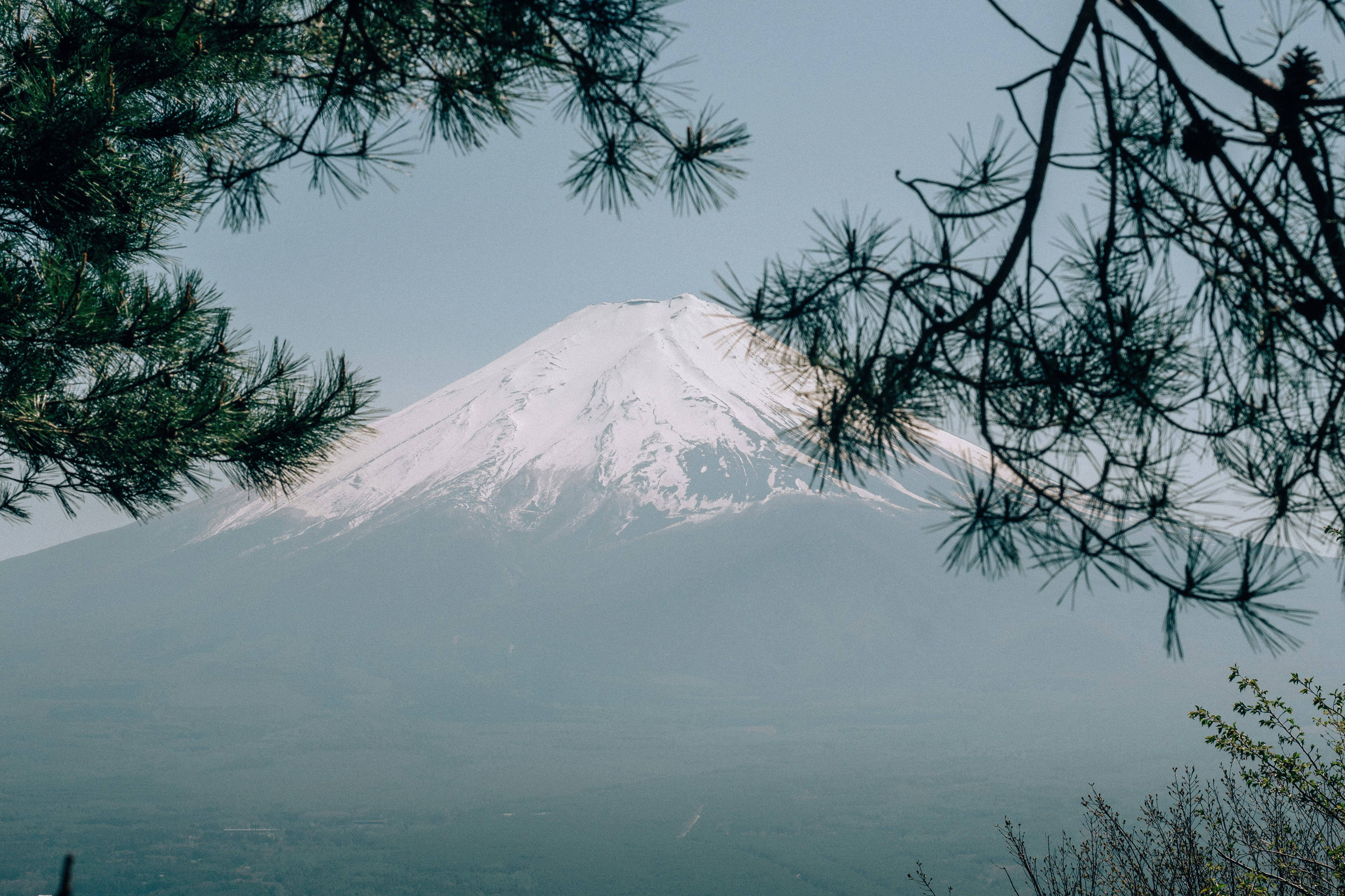 Photo by filizelaerts