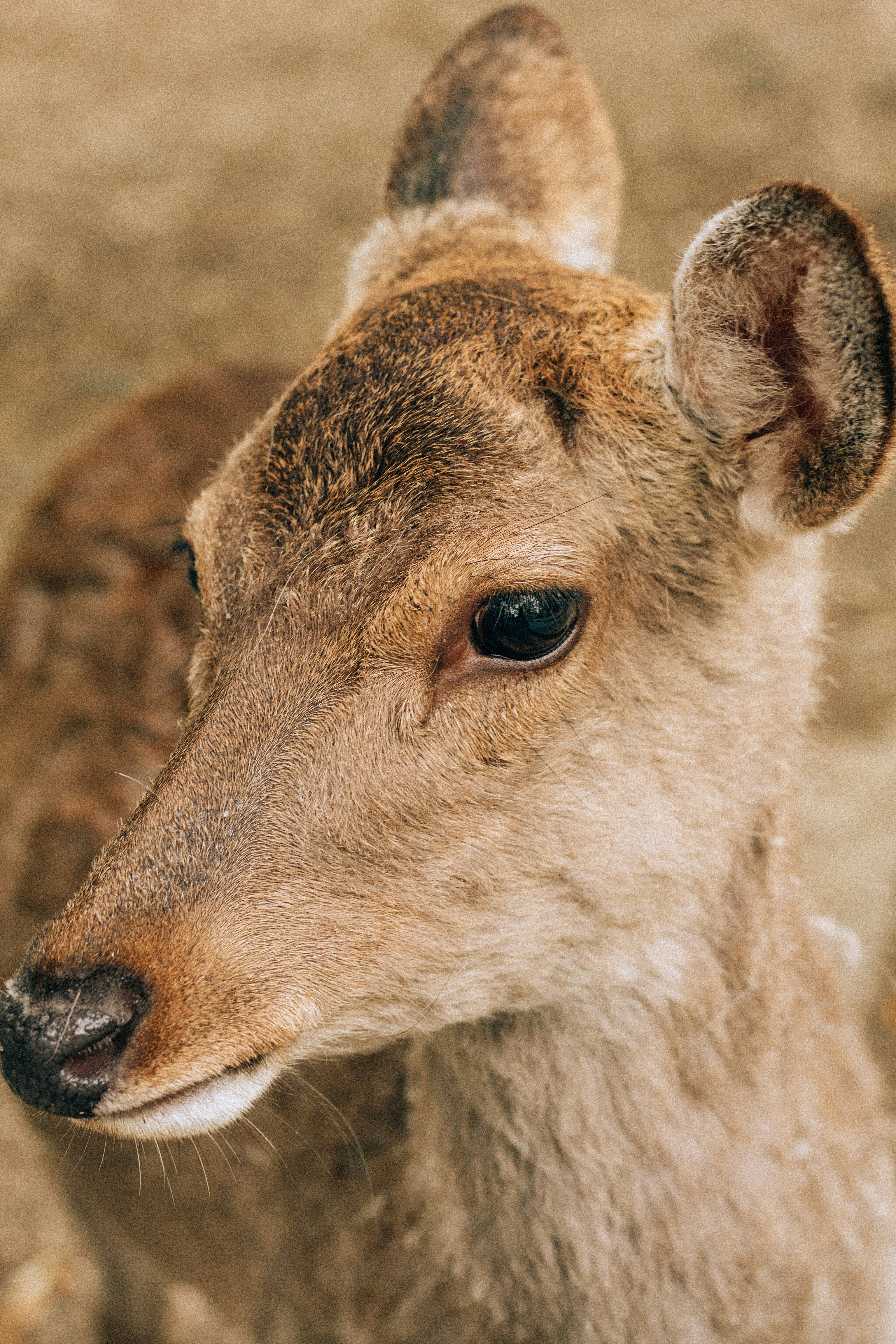 Photo by filizelaerts