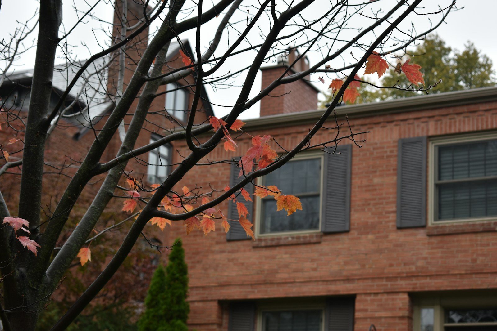 🍂 Is the Fall Real Estate Market Still Hot in Waterloo Region? Let’s Look at the Data.