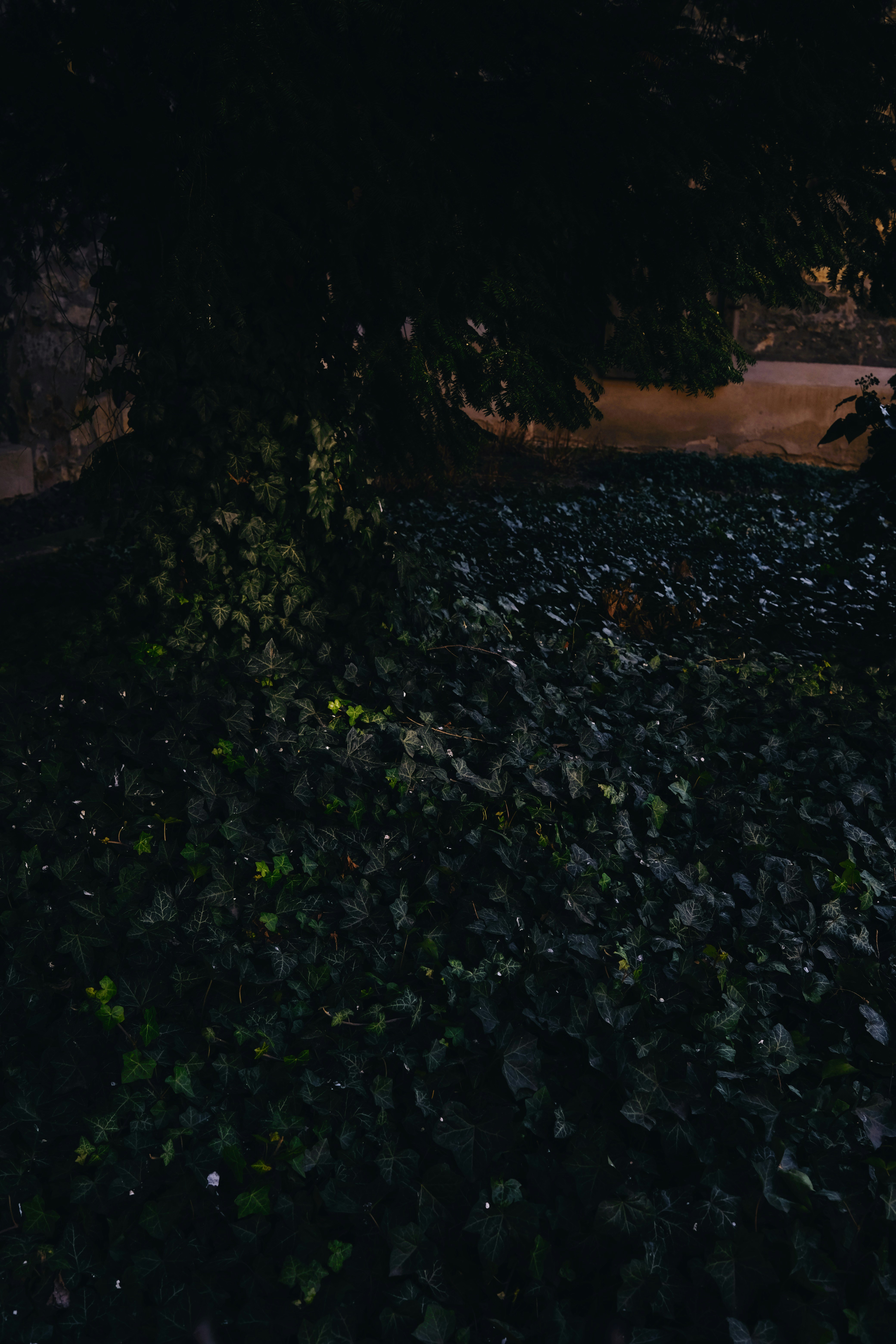 Photo by cherenkevich