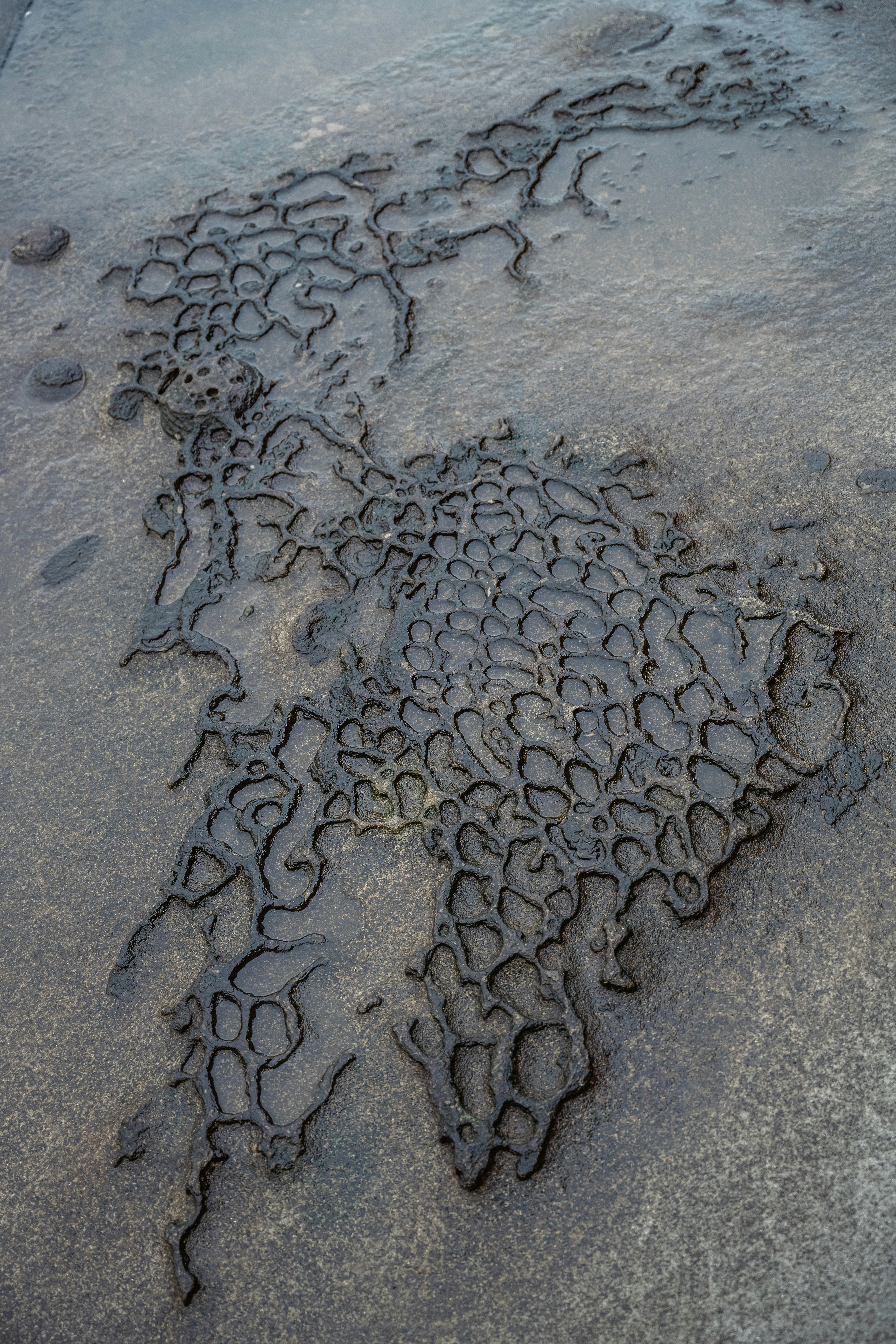 Photo by olgayakovlenko