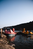Two colorful pedal boats, one pink and one yellow, shaped like swans are docked at the edge of a lake. The scene is set during late afternoon with a clear blue sky and a silhouette of a hillside in the background. A person is seen near the yellow boat, while two others are sitting in it wearing life vests.