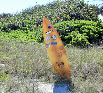 A vibrant surfboard leaning against a sunlit beach shack at golden hour.