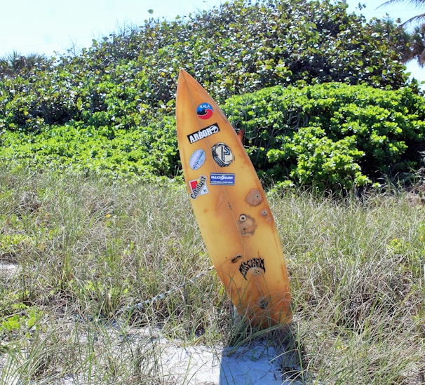A vibrant surfboard leaning against a sunlit beach shack at golden hour.