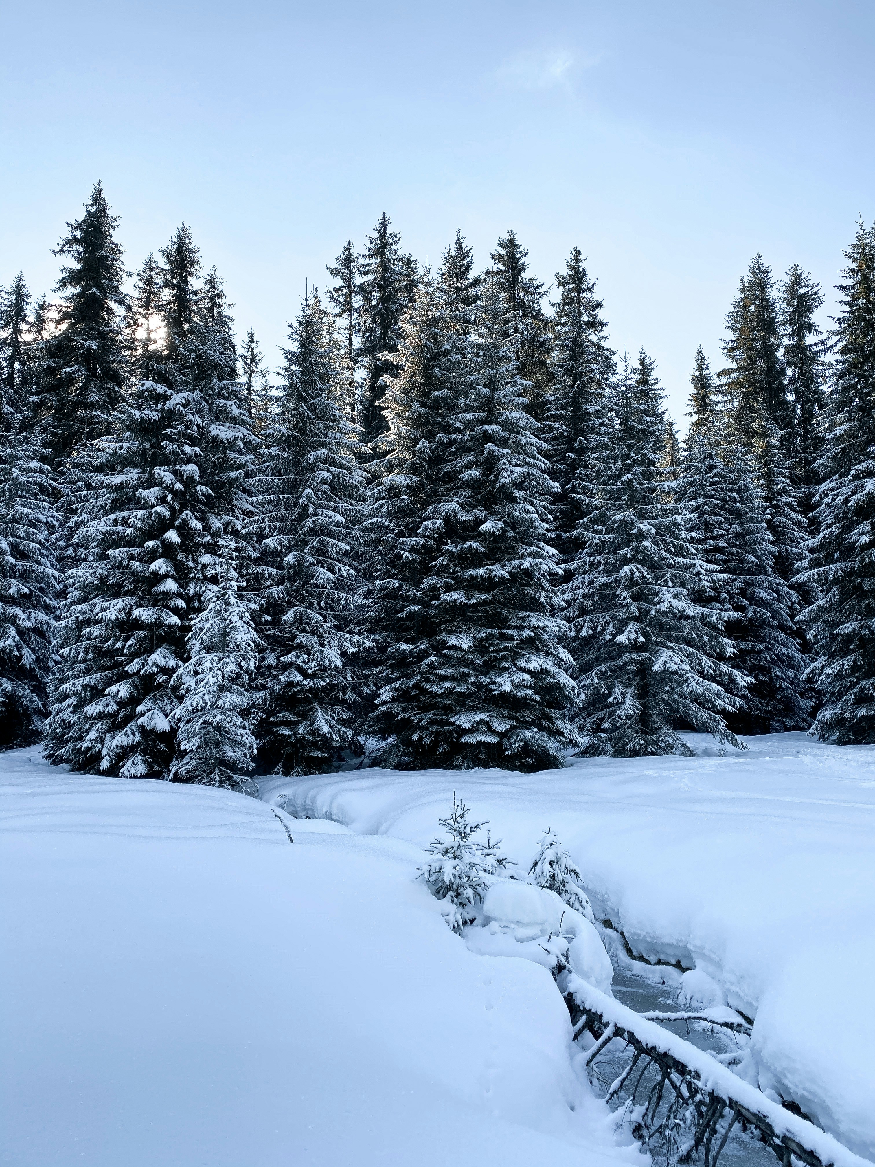 Photo by chloechristinemarketing