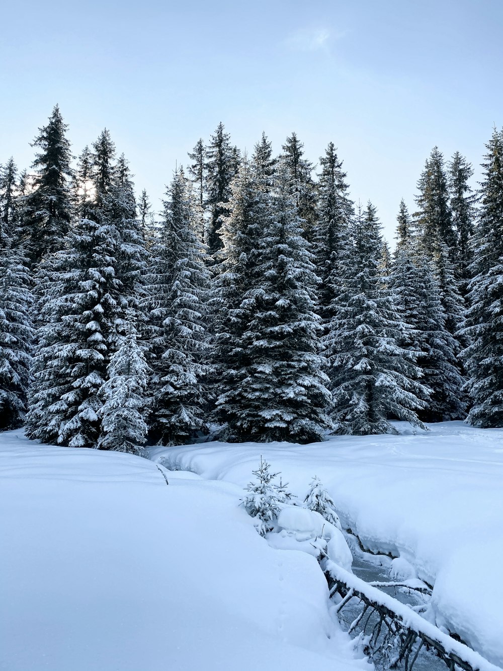 a snow covered field with trees in the background