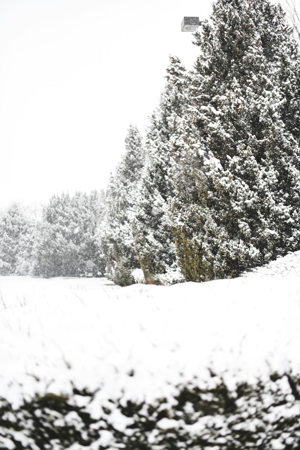 a snowboarder is going down a snowy hill