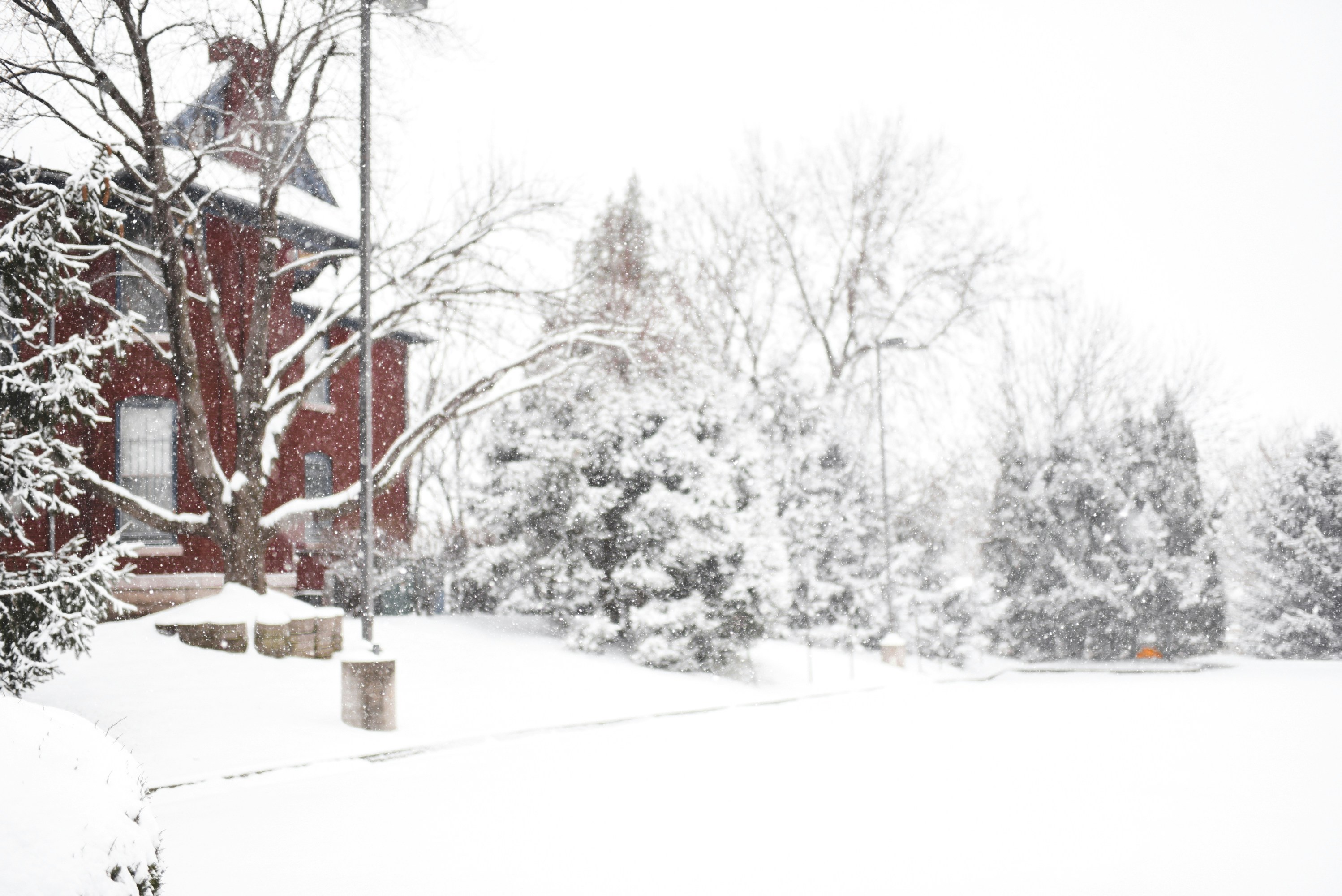 a red building surrounded by snow covered trees