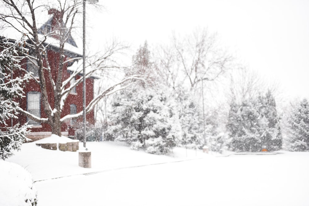 a red building surrounded by snow covered trees