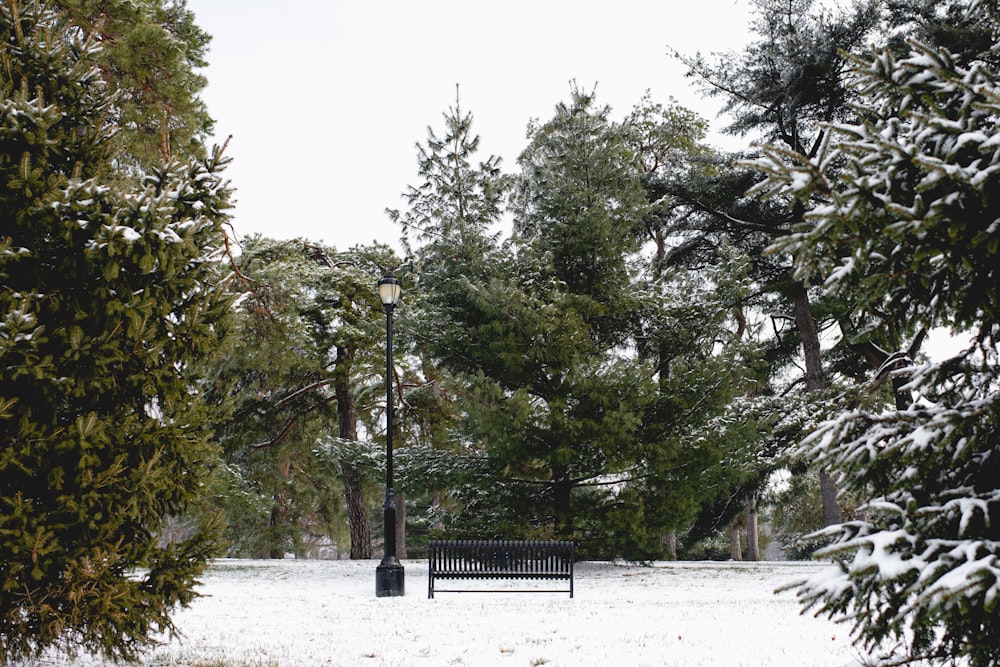 a park bench in the middle of a snowy park