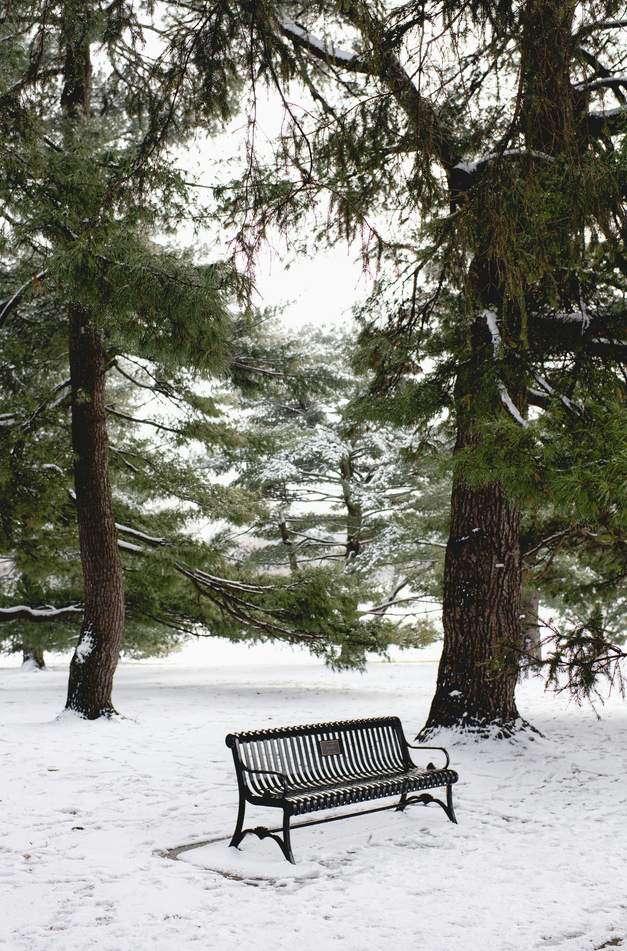 a park bench sitting in the middle of a snow covered park