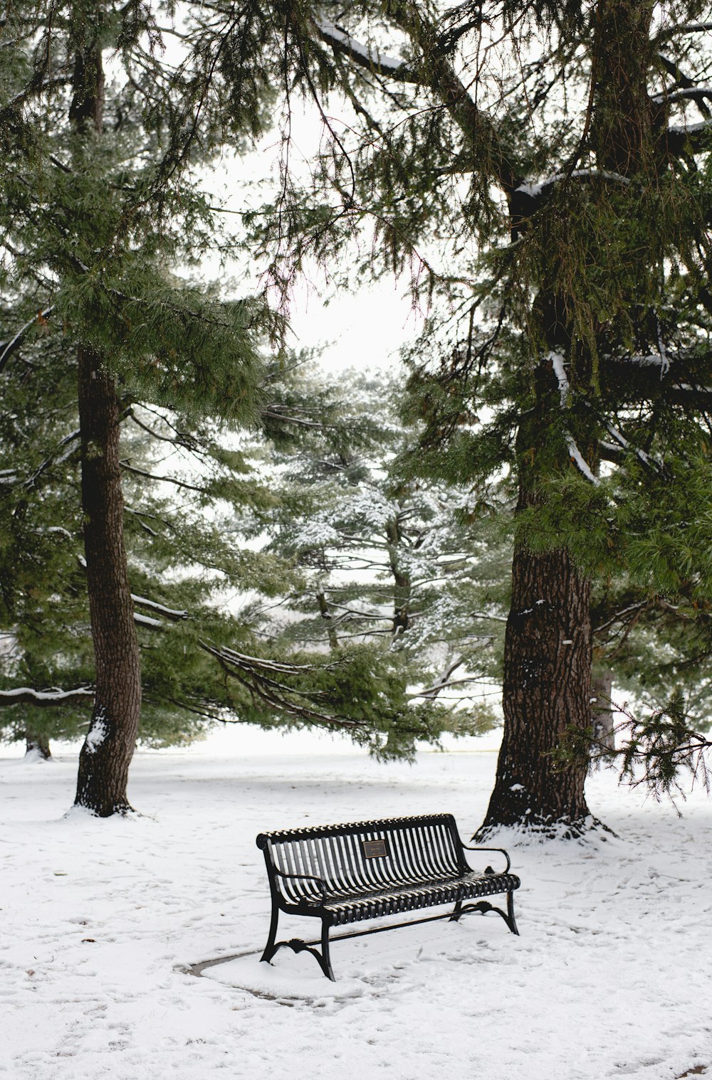 a park bench sitting in the middle of a snow covered park