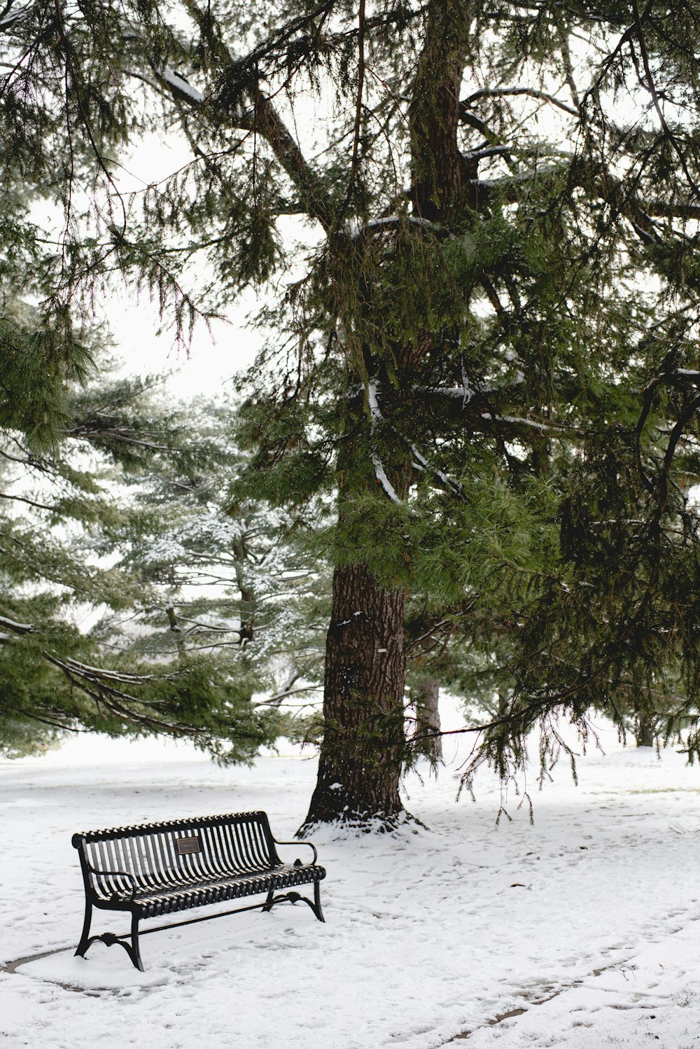 a bench in the snow near a tree