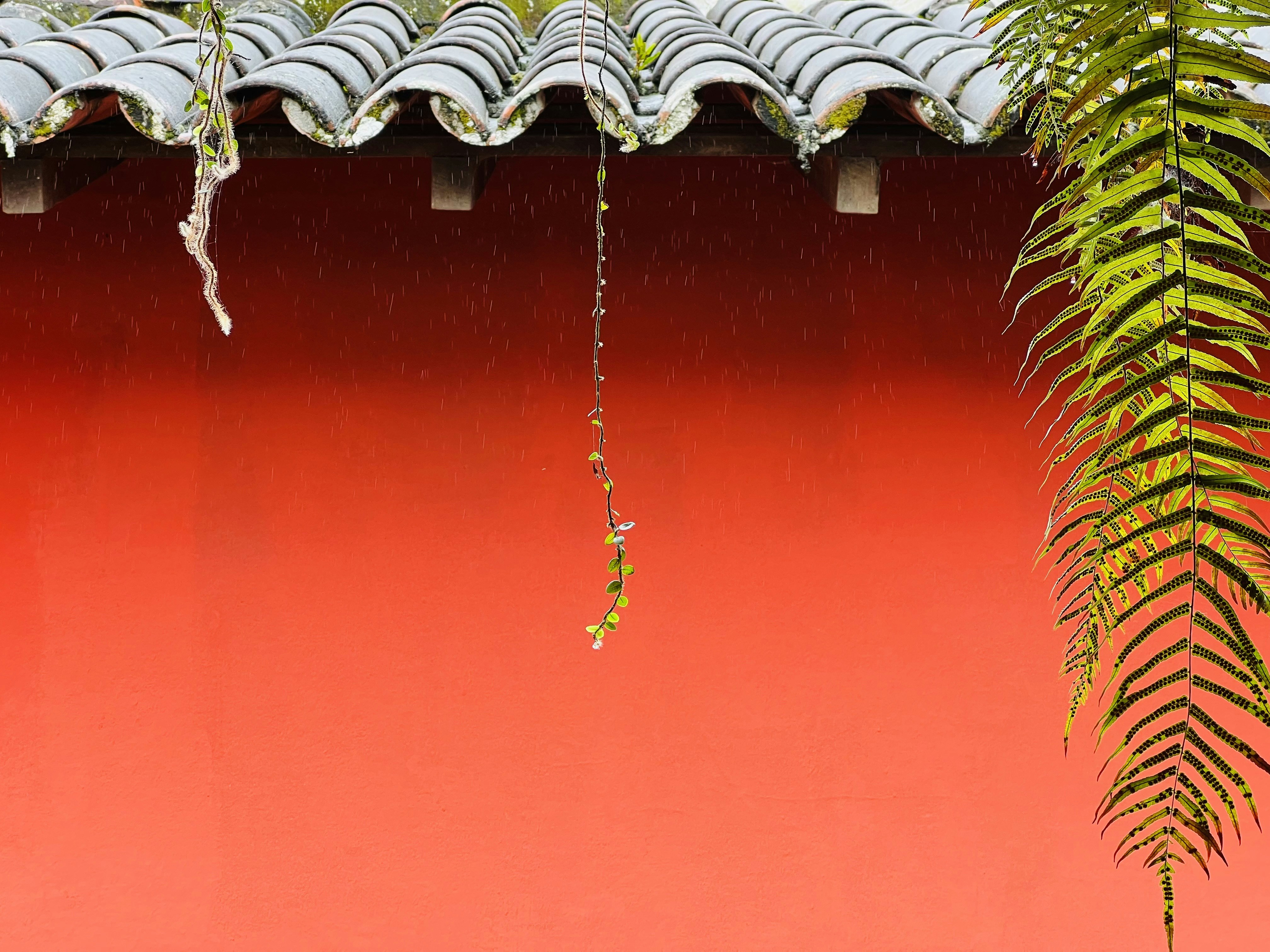 6 Roof Repair Tips for Preventing Heat Damage in Florida