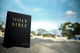A black Holy Bible with gold lettering rests upright on sandy terrain. The background features a slightly blurred landscape with greenery and a blue sky containing a few clouds.