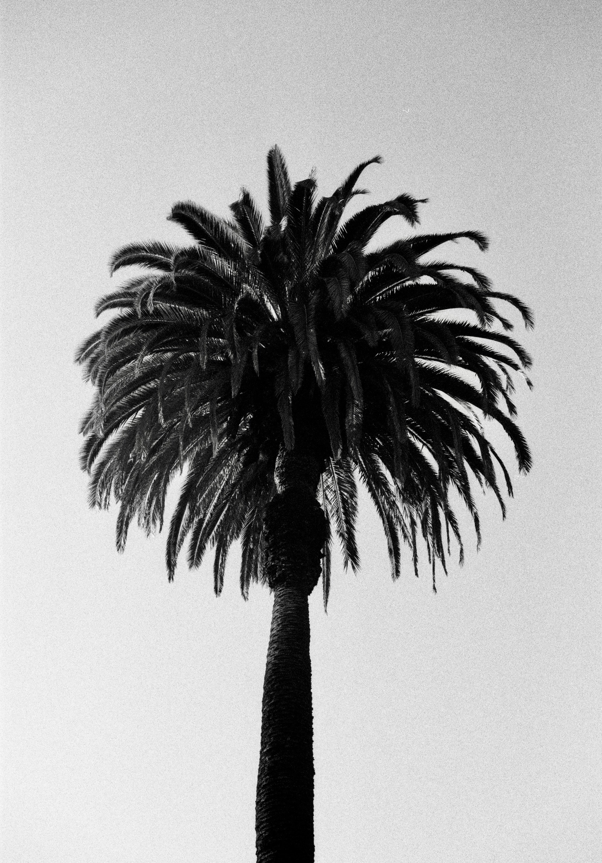 Photo by larseilers_