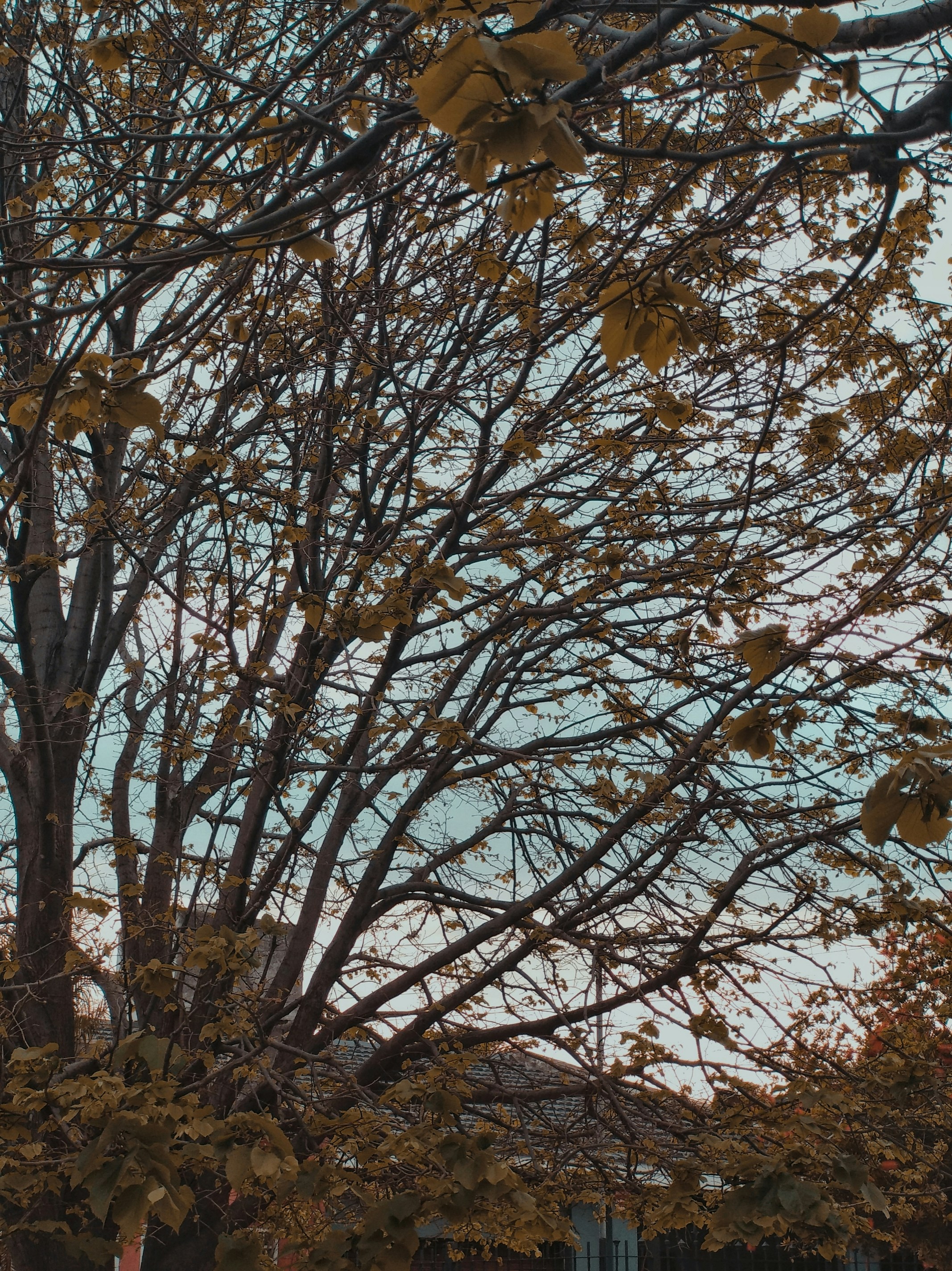 Photo by ivanstanley