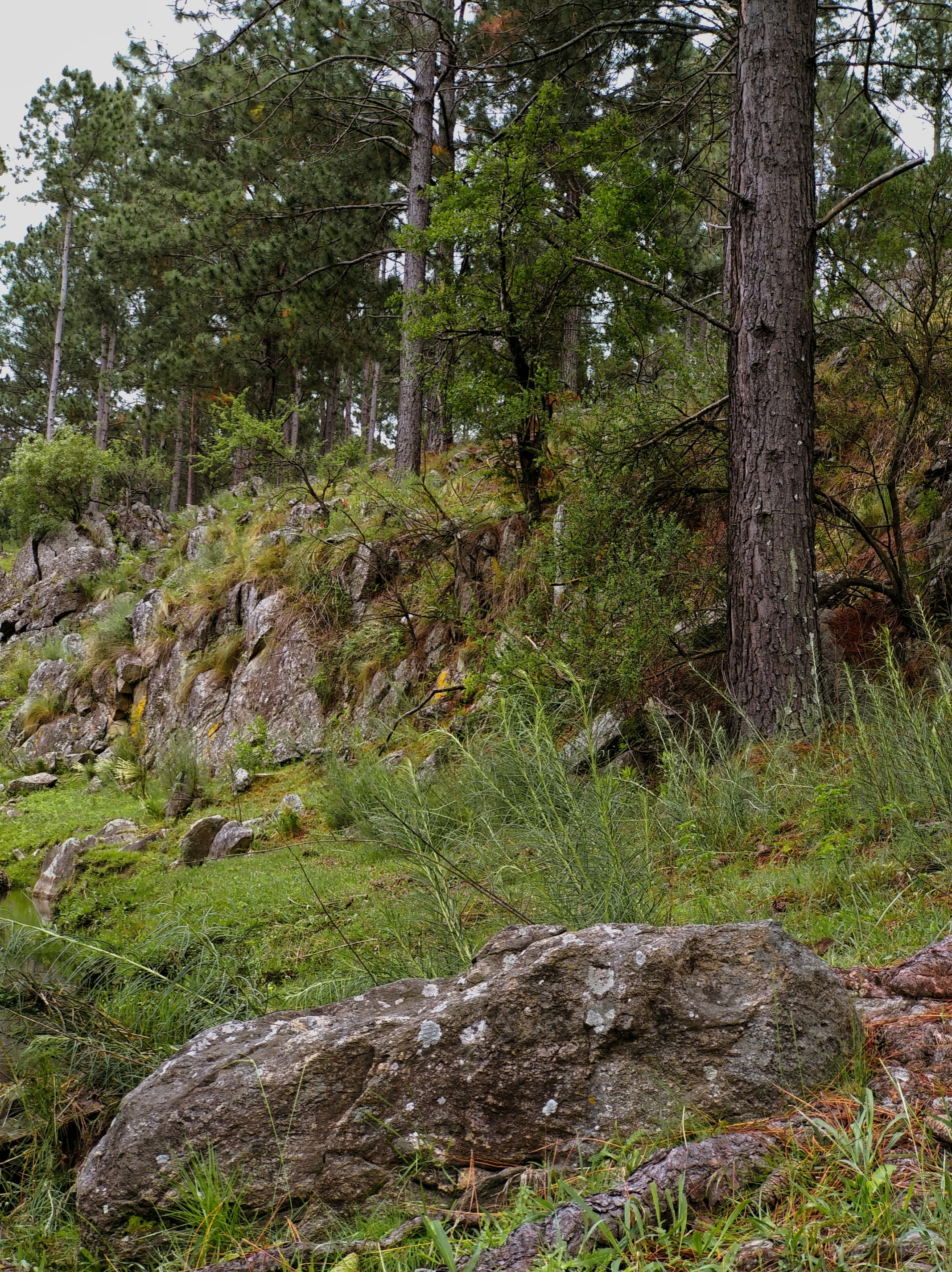 Photo by ivanstanley